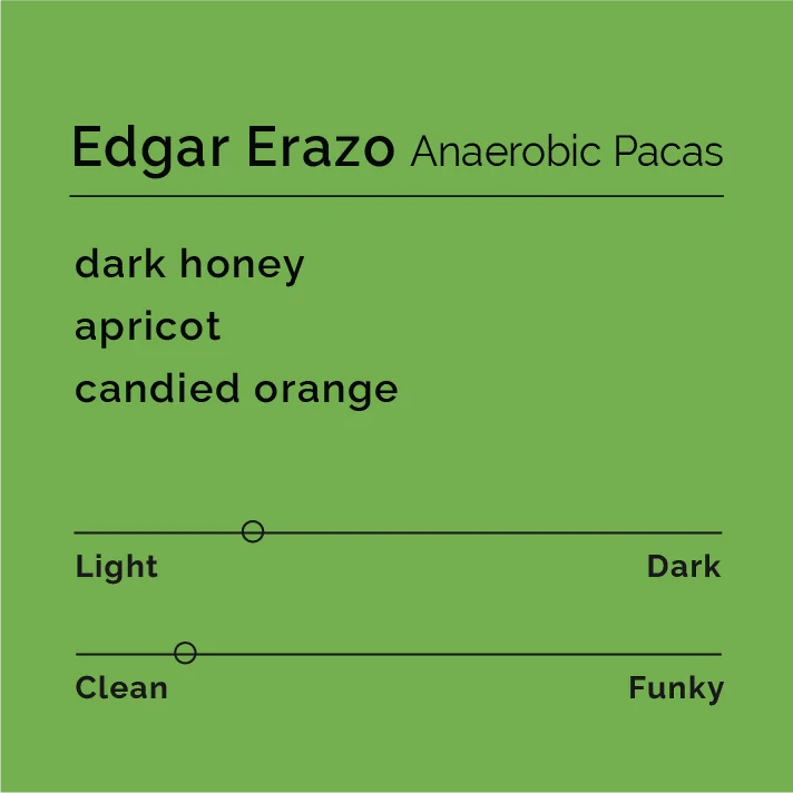 Black & White - Edgar Erazo - Anaerobic Pacas | Honduras