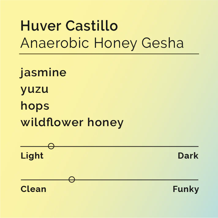 Black & White - Huver Castillo - Anaerobic Honey Gesha