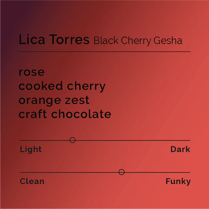 Black & White - Lica Torres – Black Cherry Gesha