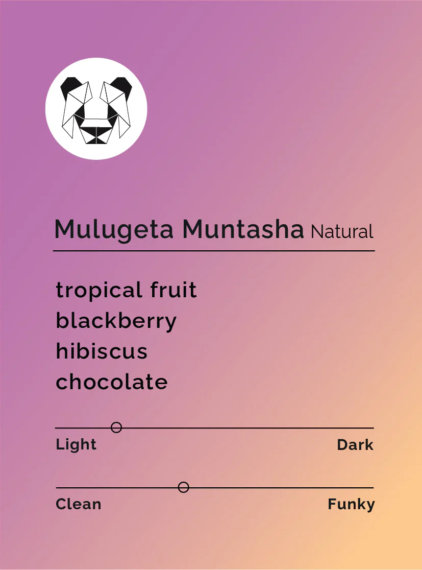 Black & White - Mulugeta Muntasha - Natural