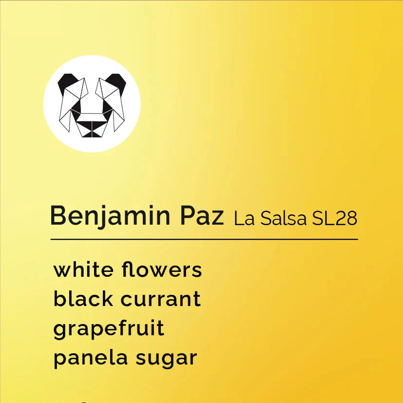 Black & White Roasters - Benjamin Paz - La Salsa | Honduras