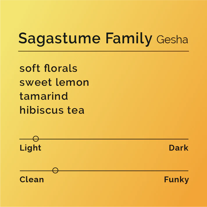 Black & White - Sagastume Family - Gesha
