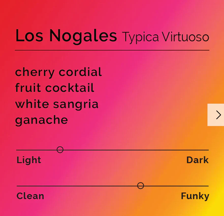 Black & White - Los Nogales - Typica Virtuoso | Colombia
