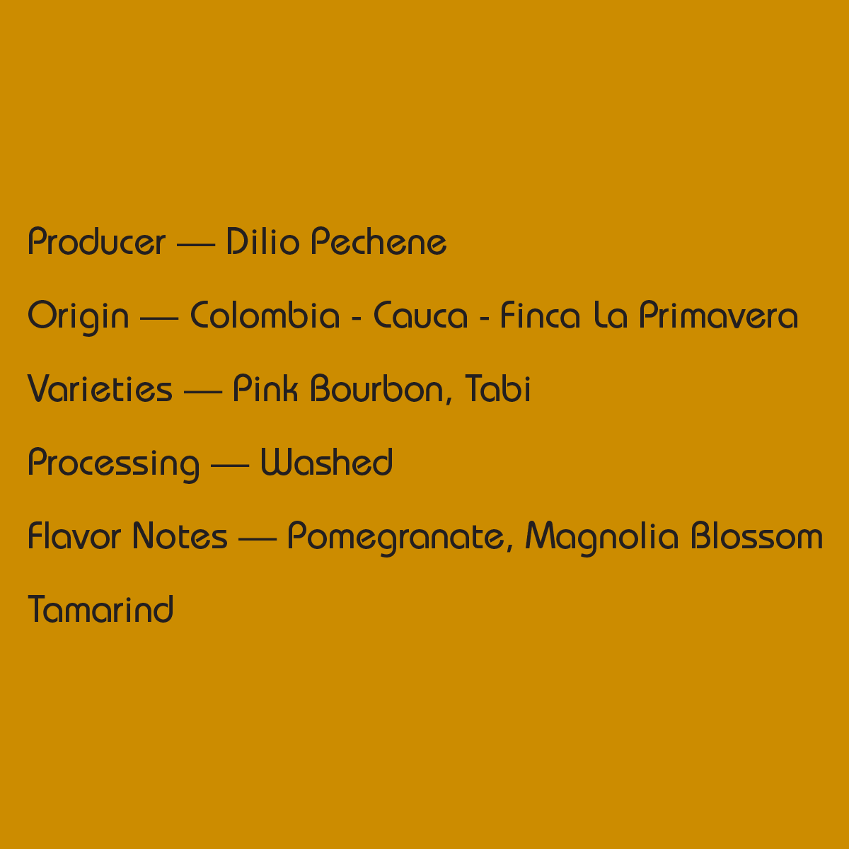 Mirra - Colombia Dilio Pechene — Best of Cauca No. 1 - Washed - Image 2