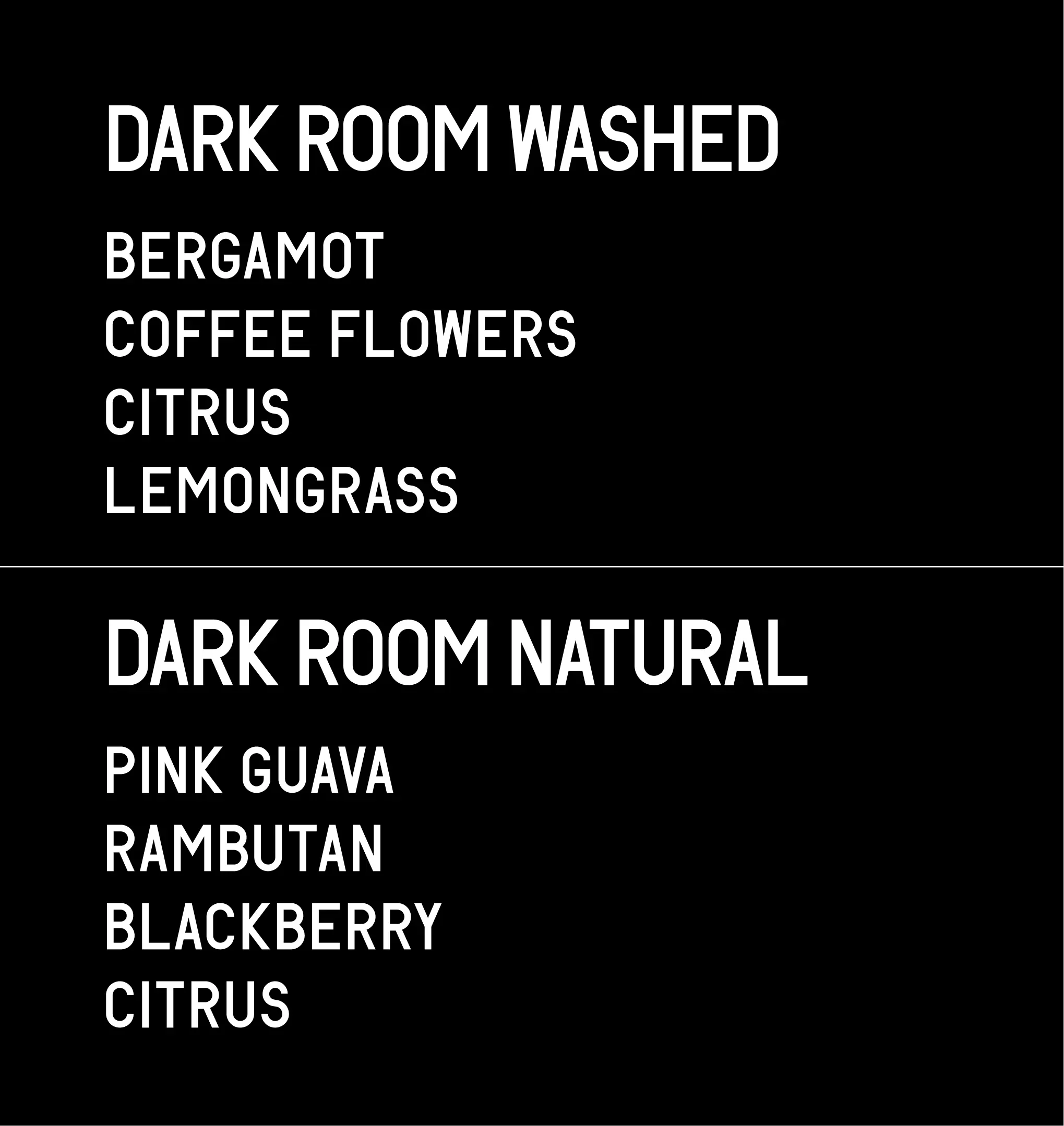 Datura | Alo Coffee Dark Room Washed & Natural (2×25g) - Image 2