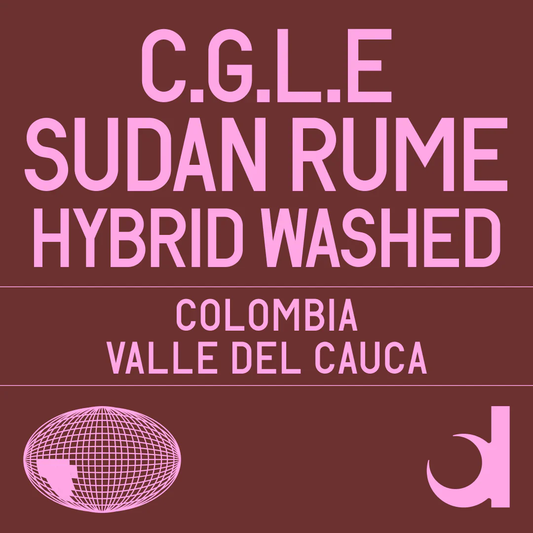 Datura | cGLE Sudan Rume Hybrid Washed (100g)