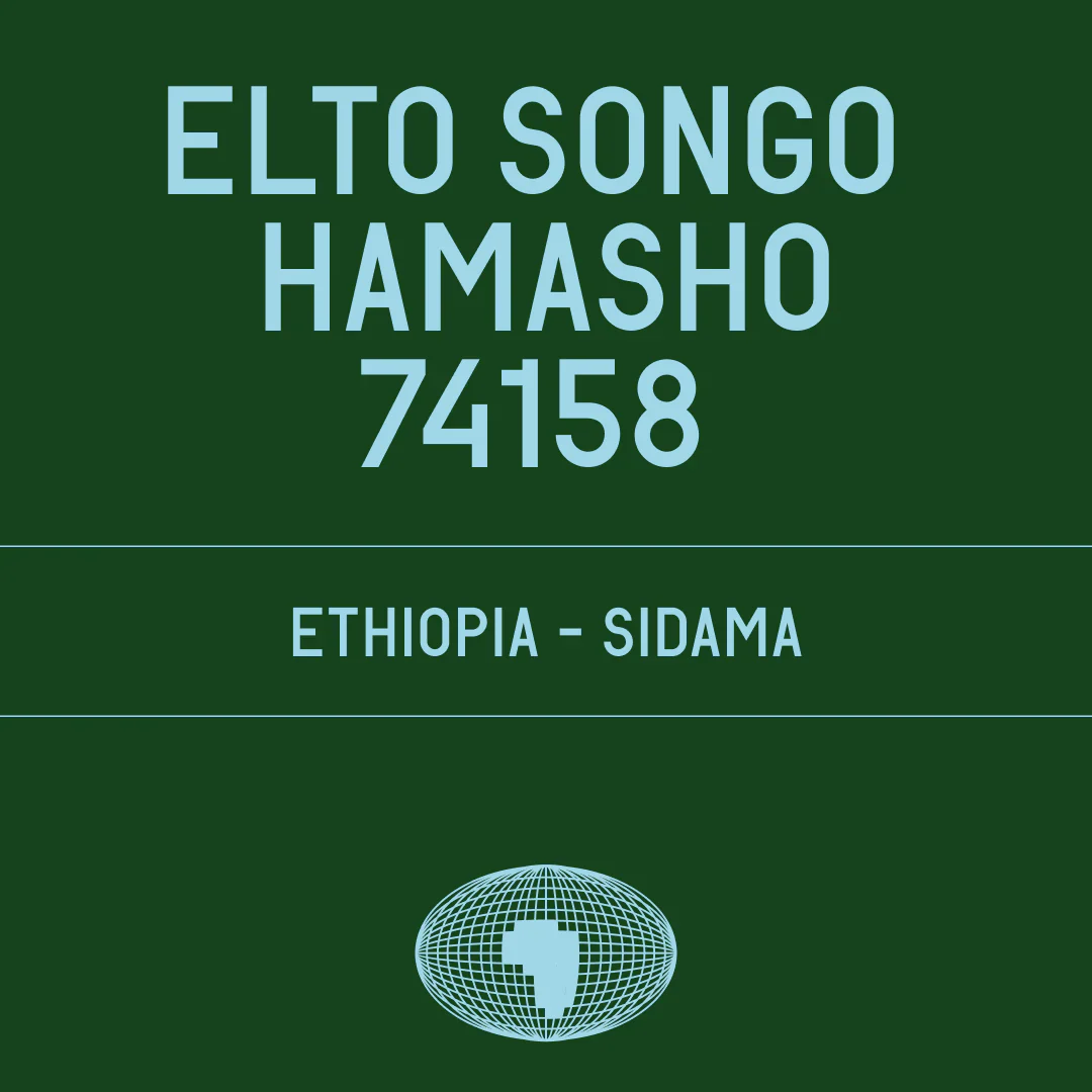 Datura | Elto Songo 74158 (200g)