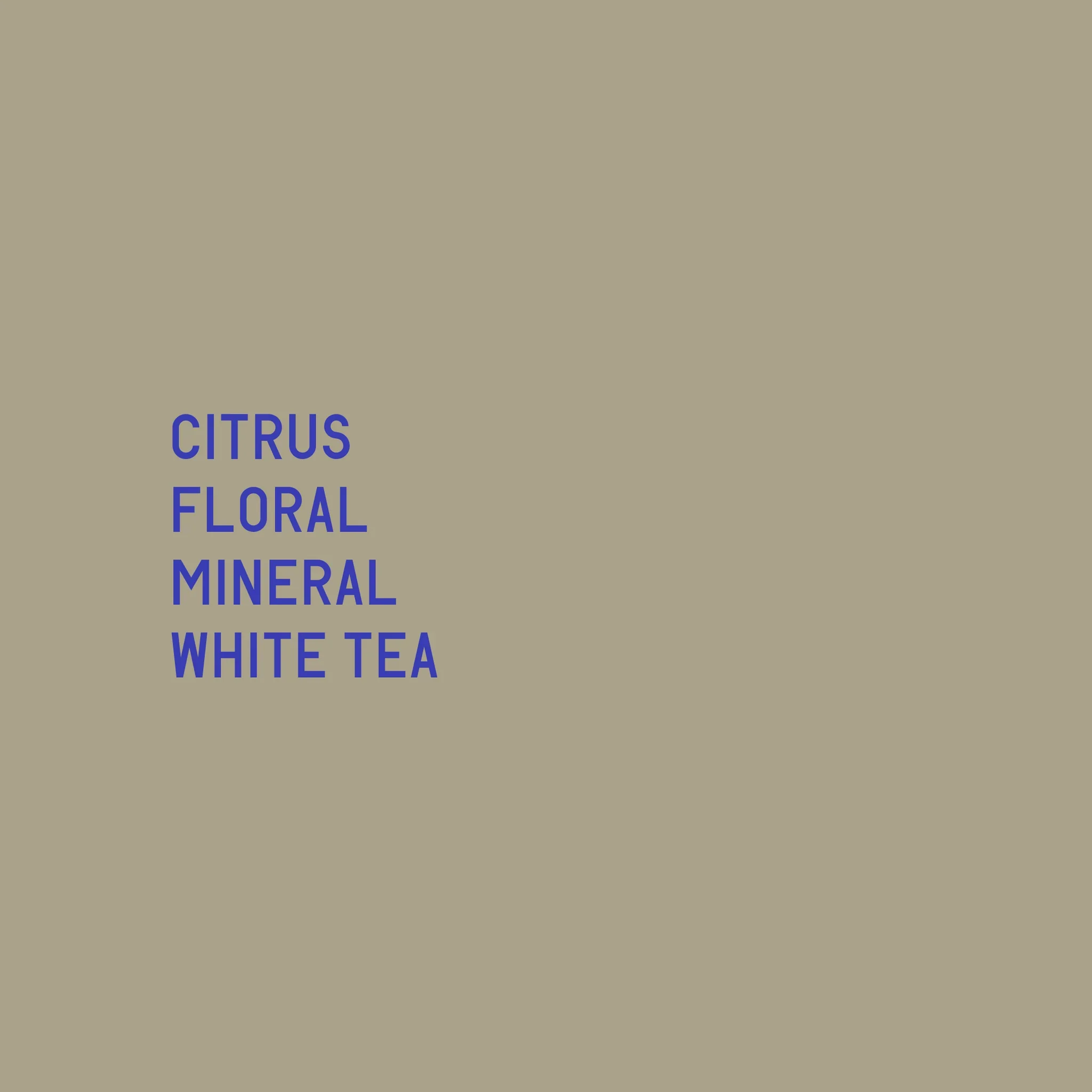 Datura | Finca Deborah Terroir (100g) - Image 2
