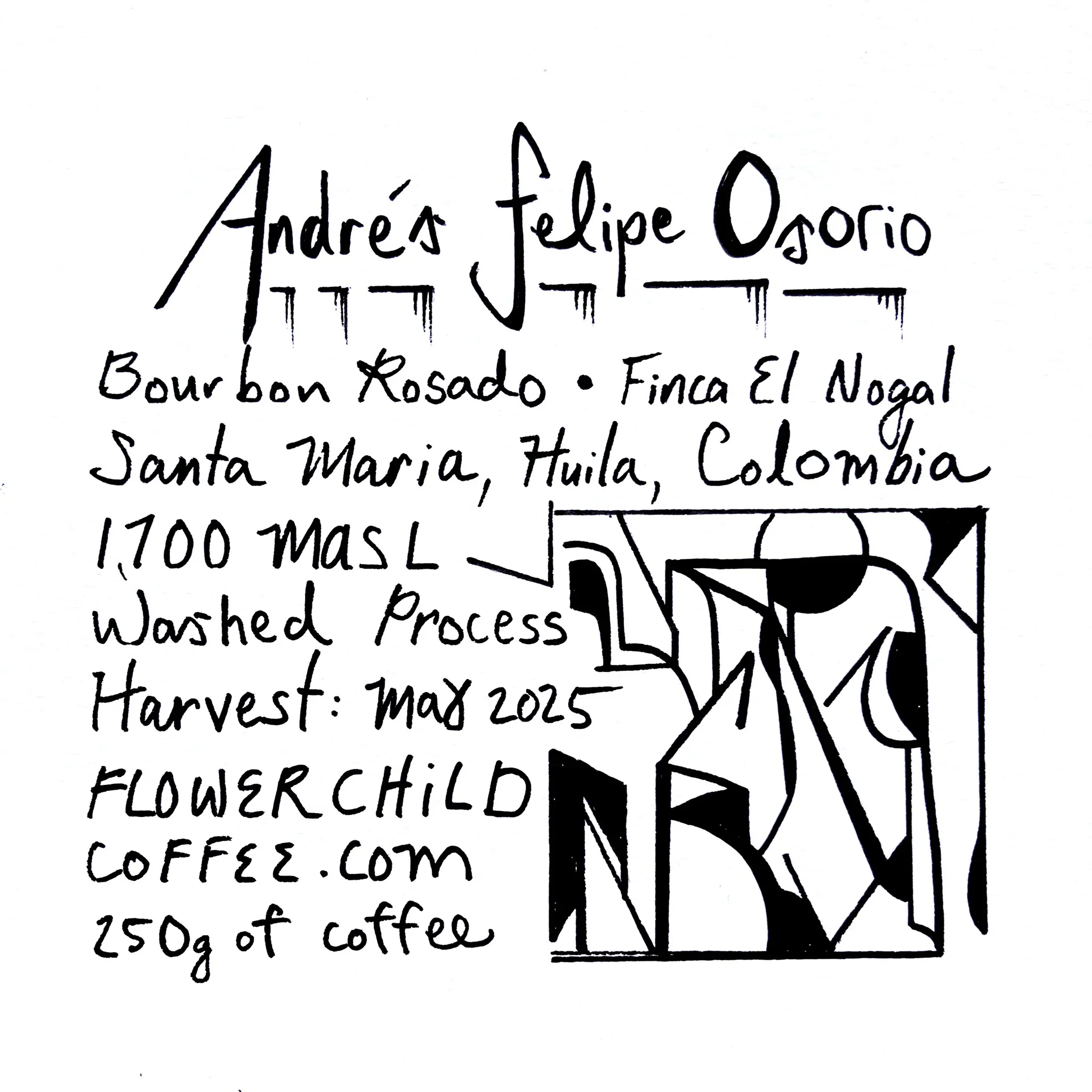 Flower Child - Andrés Felipe Osorio Washed