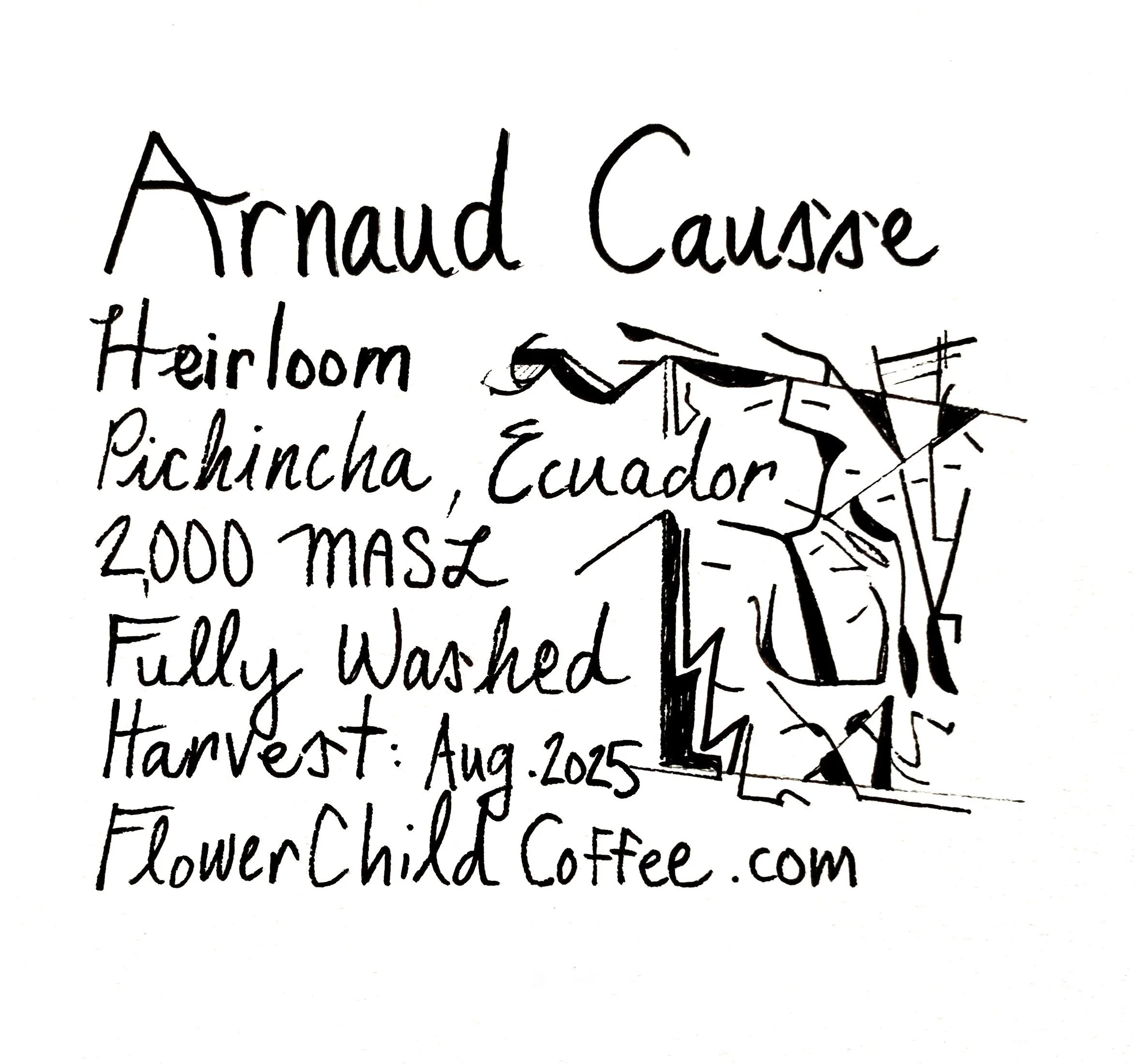 Flower Child Coffee - Arnaud Causse Heirloom