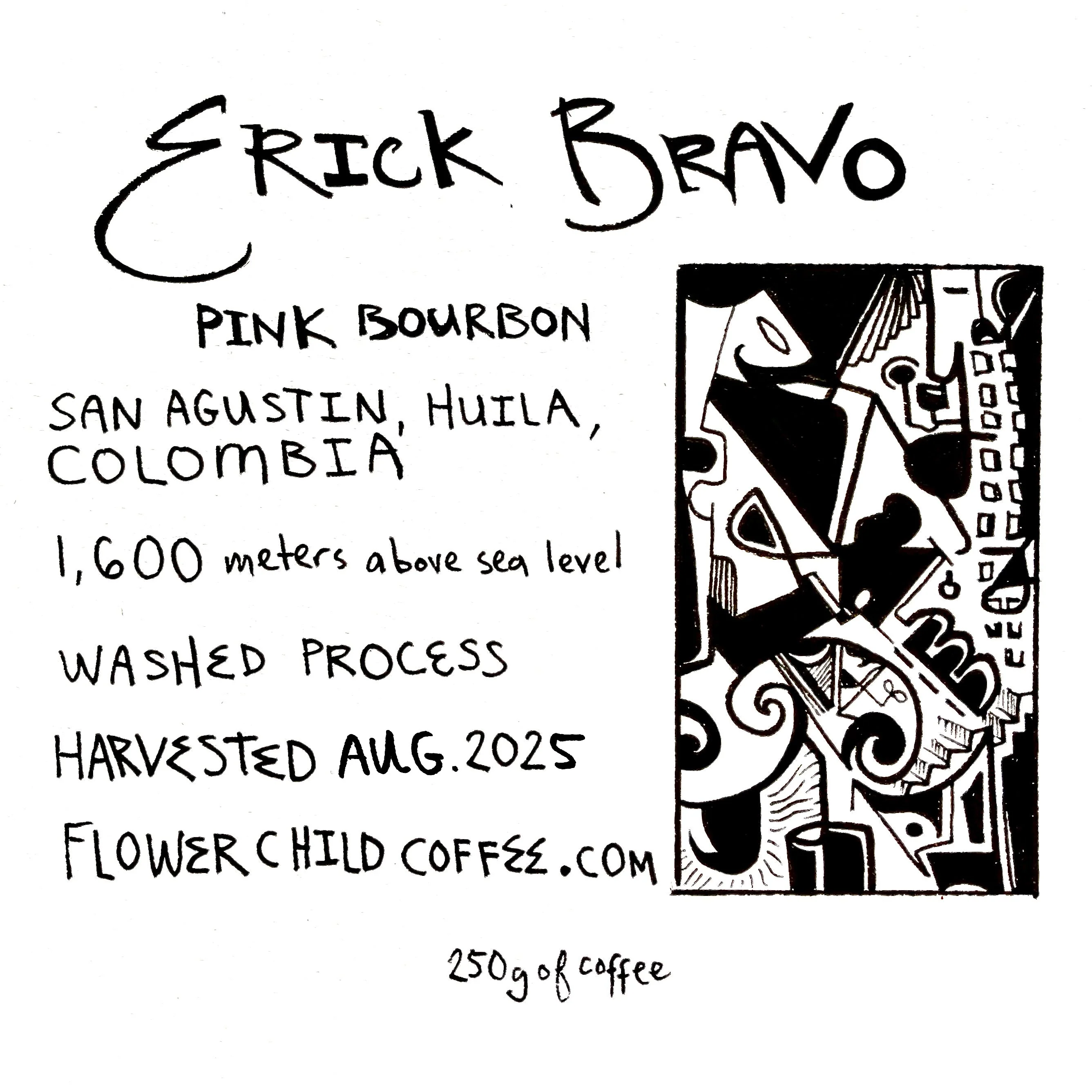 Flower Child - Erick Bravo - El Chaferote Washed Pink Bourbon | Colombia