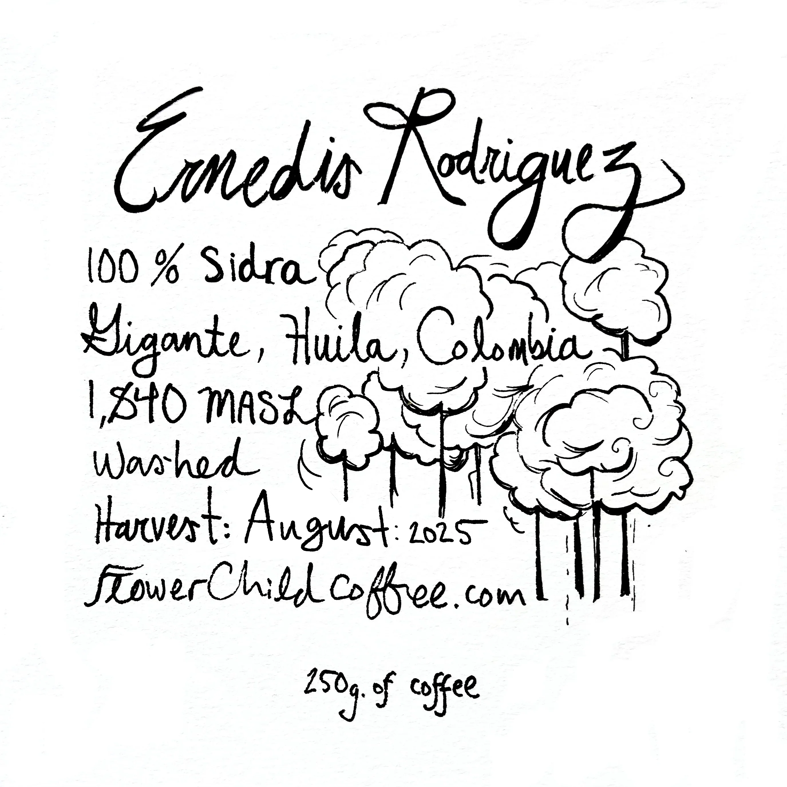 Flower Child - Ernedis Rodriguez - Sidra