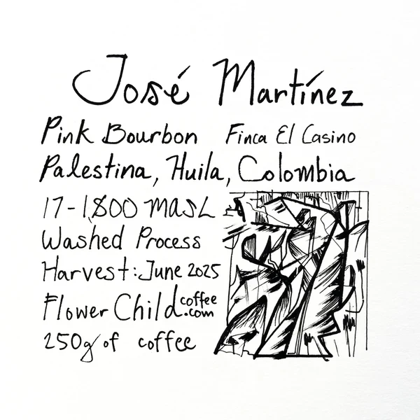 Flower Child - José Martínez, Washed Pink Bourbon