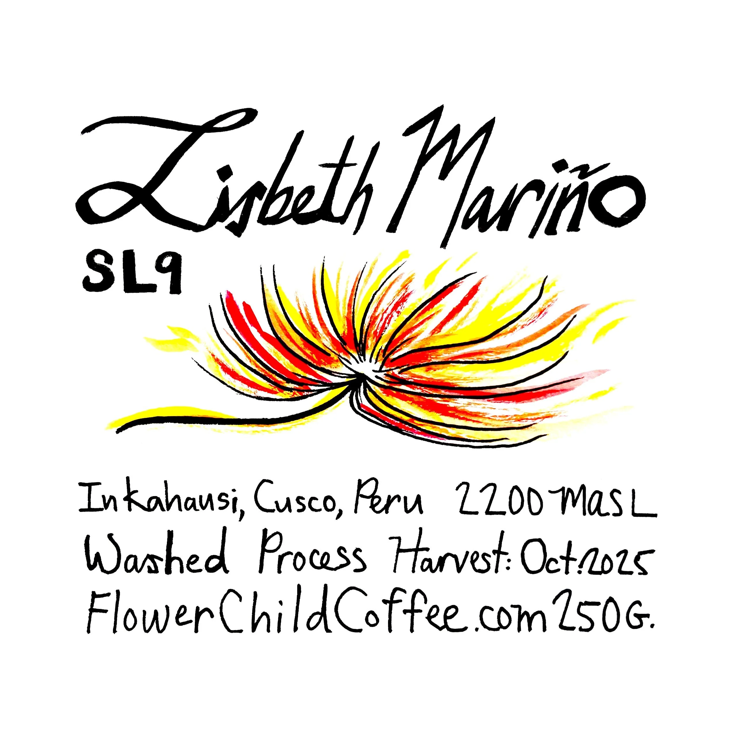 Flower Child - Lisbeth Mariño - Washed SL9 | Peru