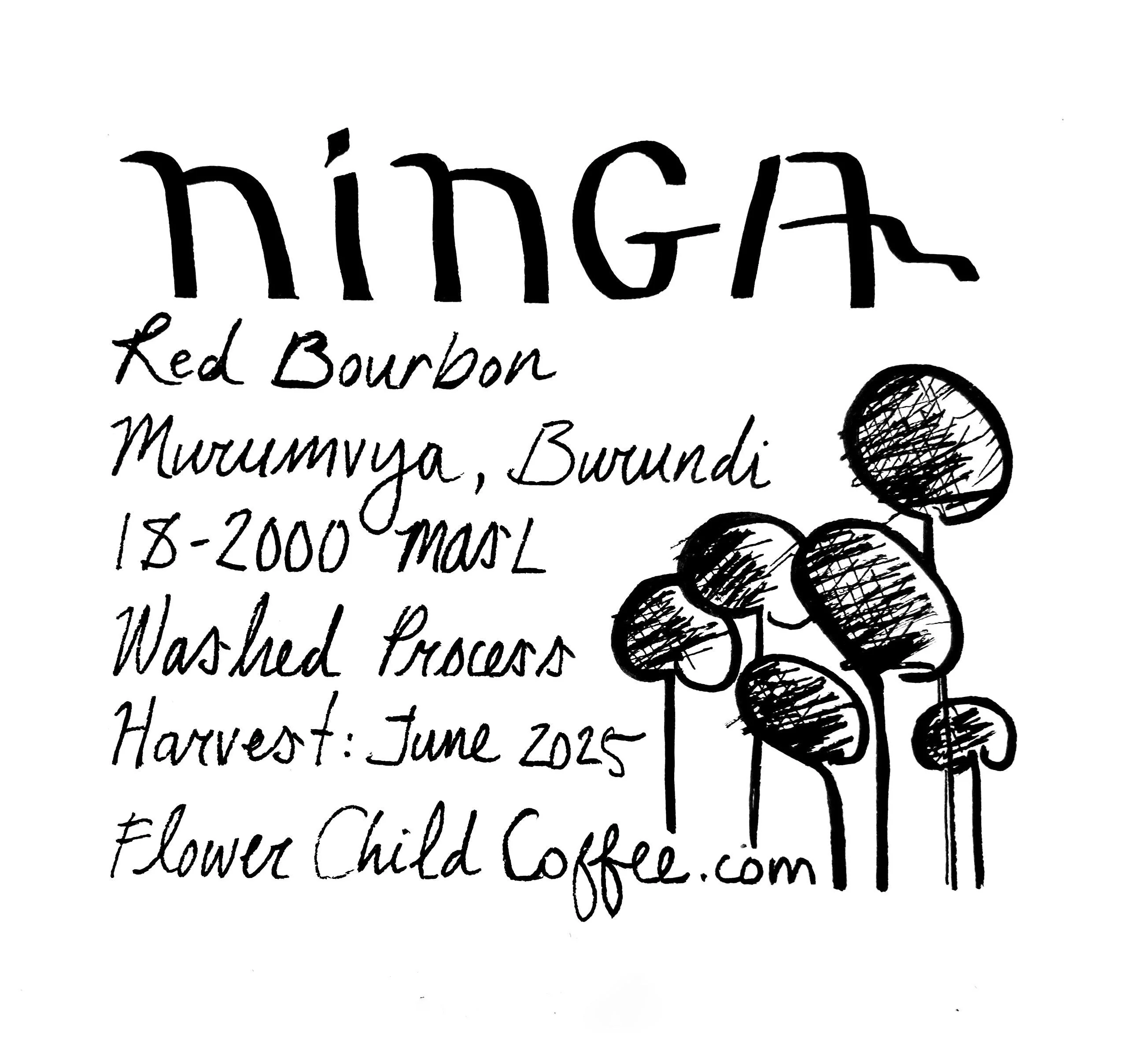 Flower Child Coffee - Ninga
