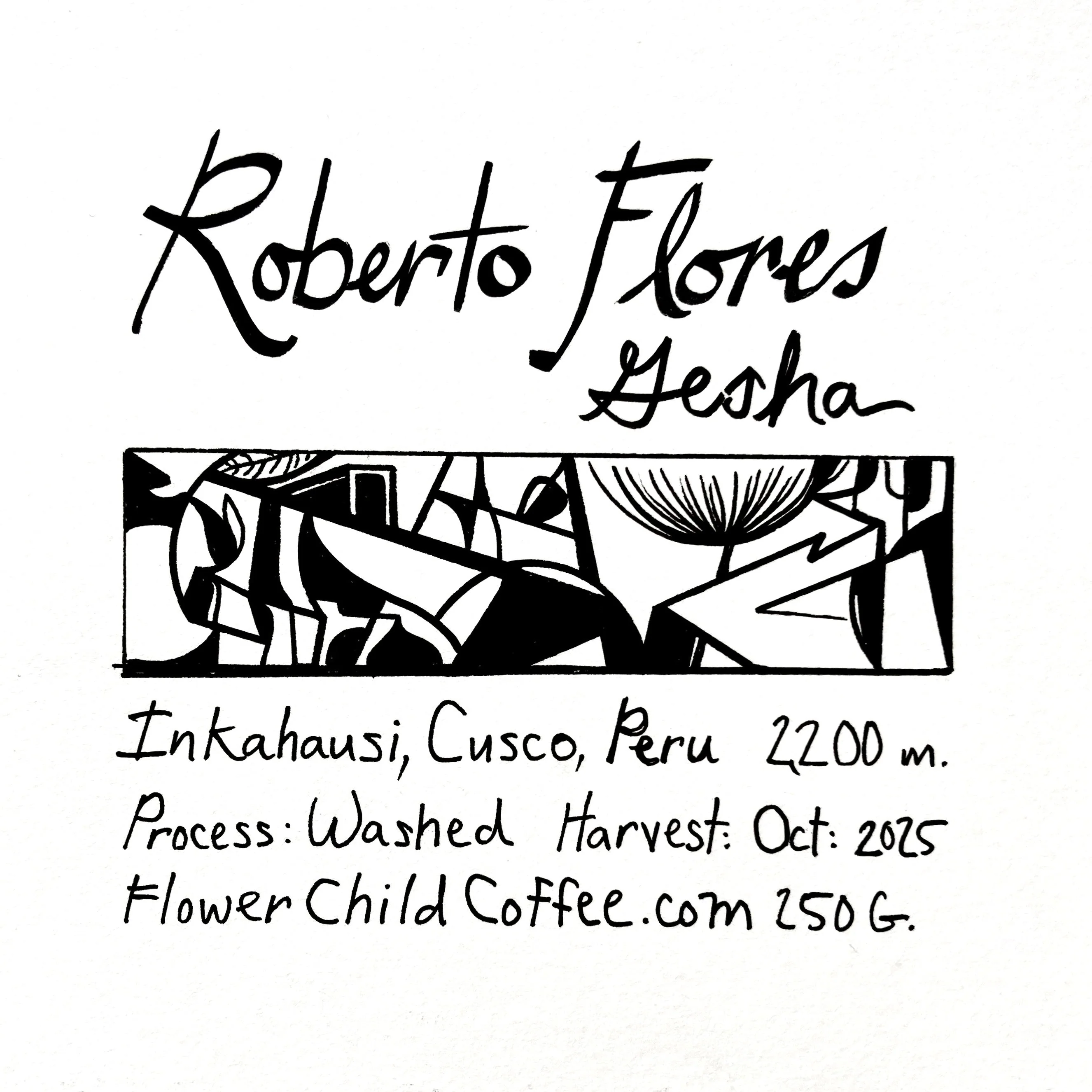 Flower Child - Roberto Flores - La Rinconada Washed Gesha | Peru