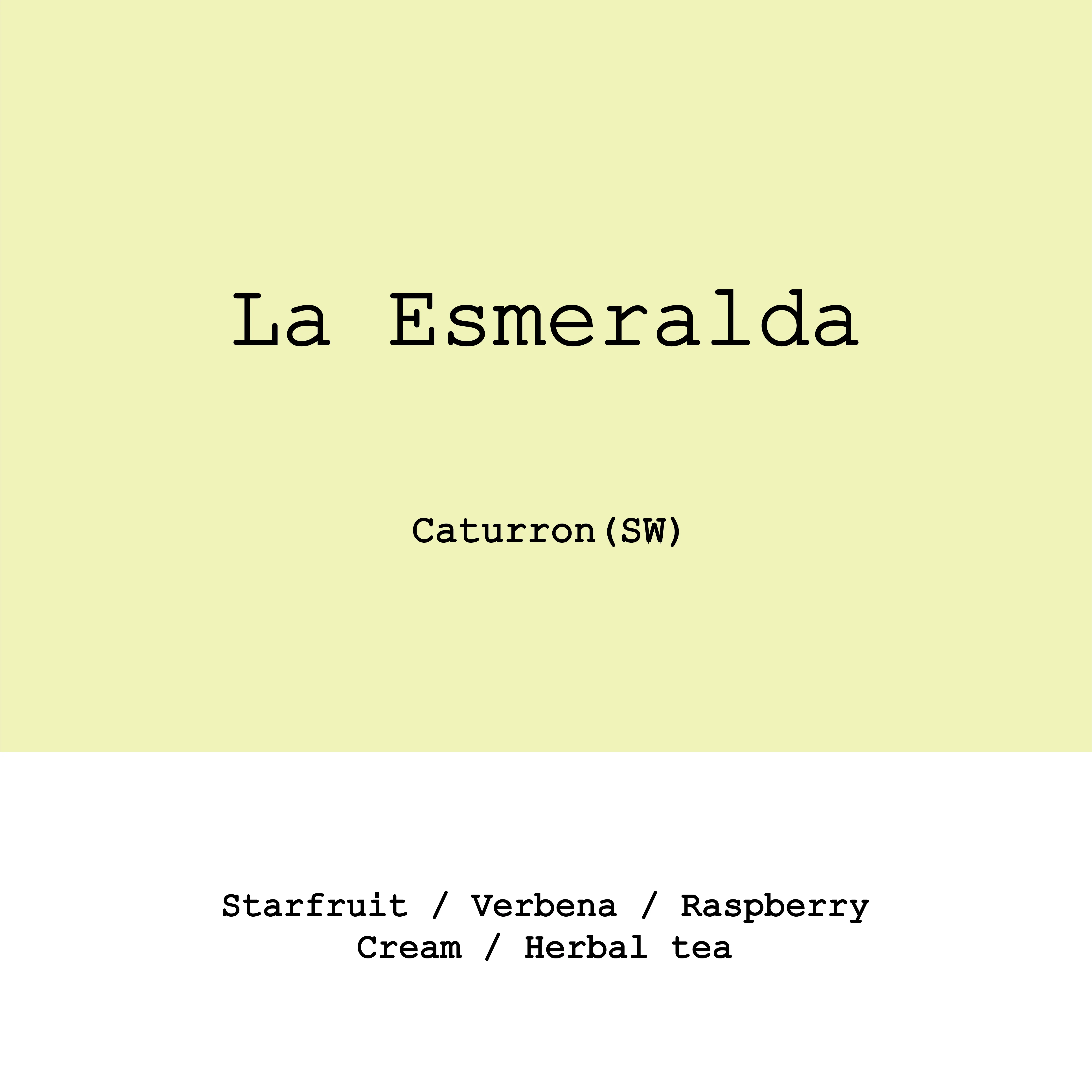 Goût & Co - La Esmeralda Caturron Semi-Washed | Colombia