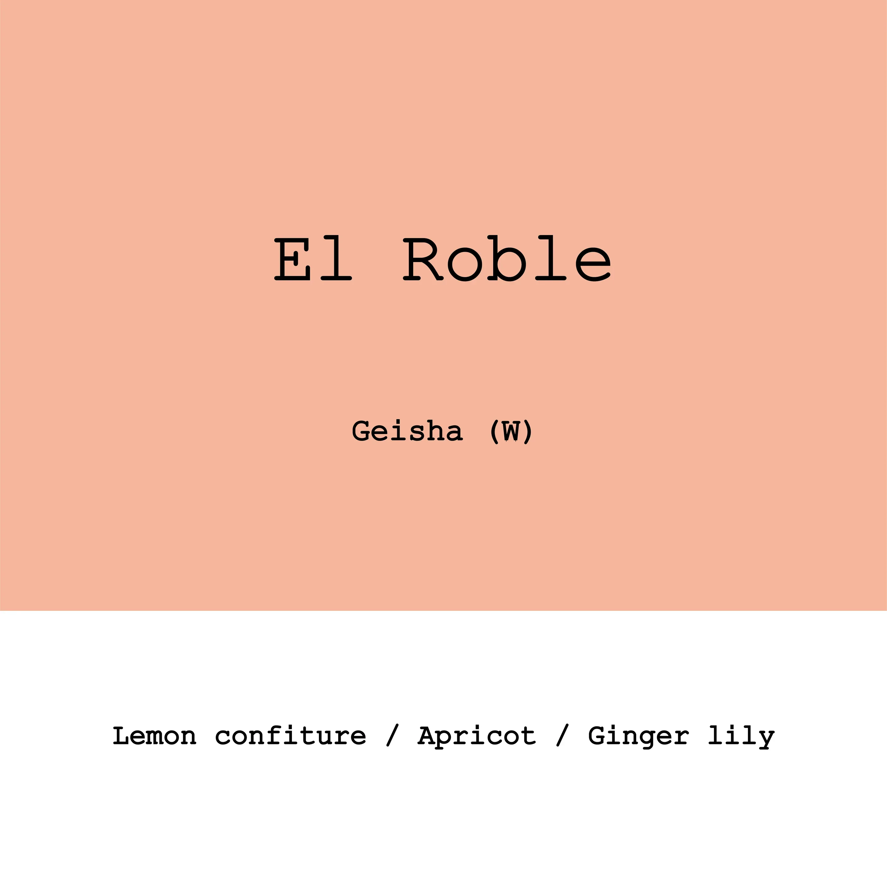Goût & Co - Colombia - El Roble Gesha Washed