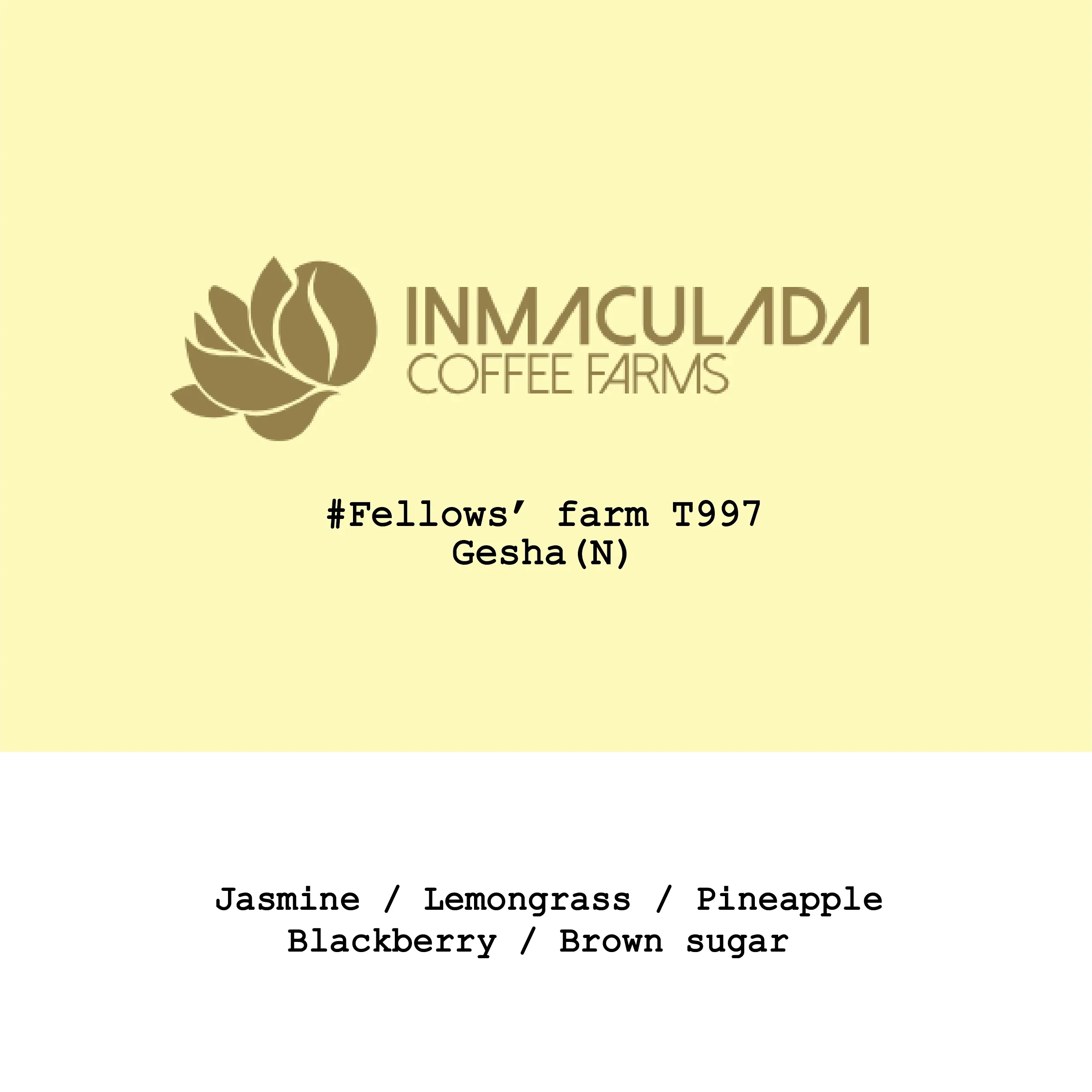 Goût & Co - Colombia Inmaculada Fellows' Farm Natural Gesha