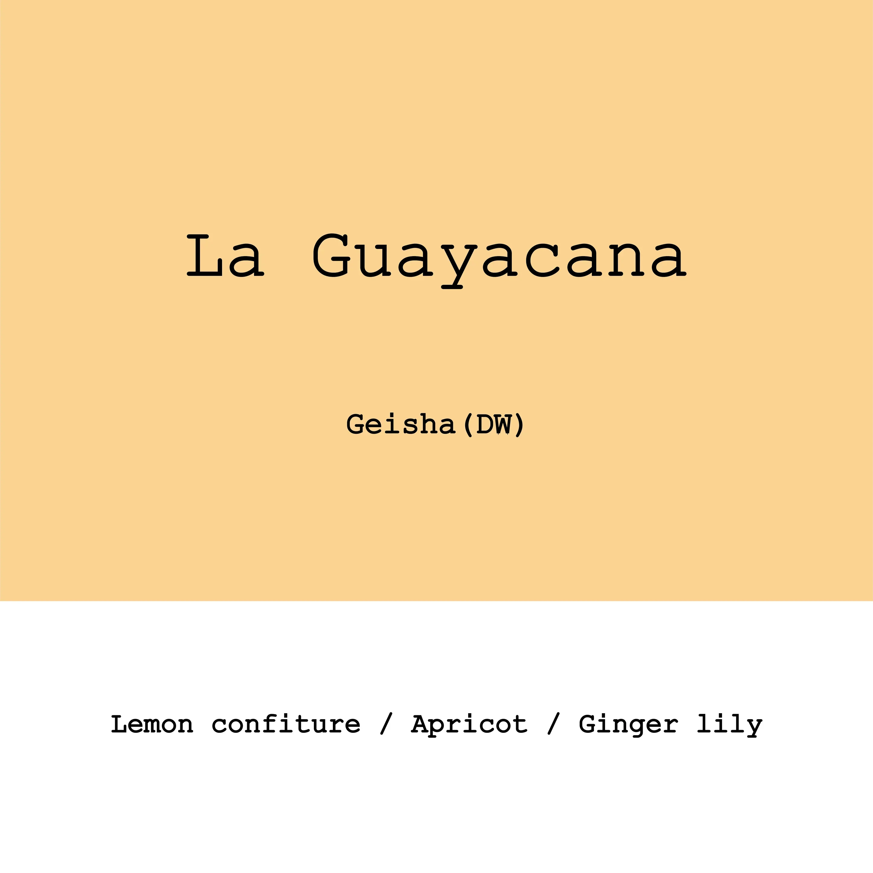 Goût & Co - Colombia La Guayacana, Gesha Double Ferment Washed