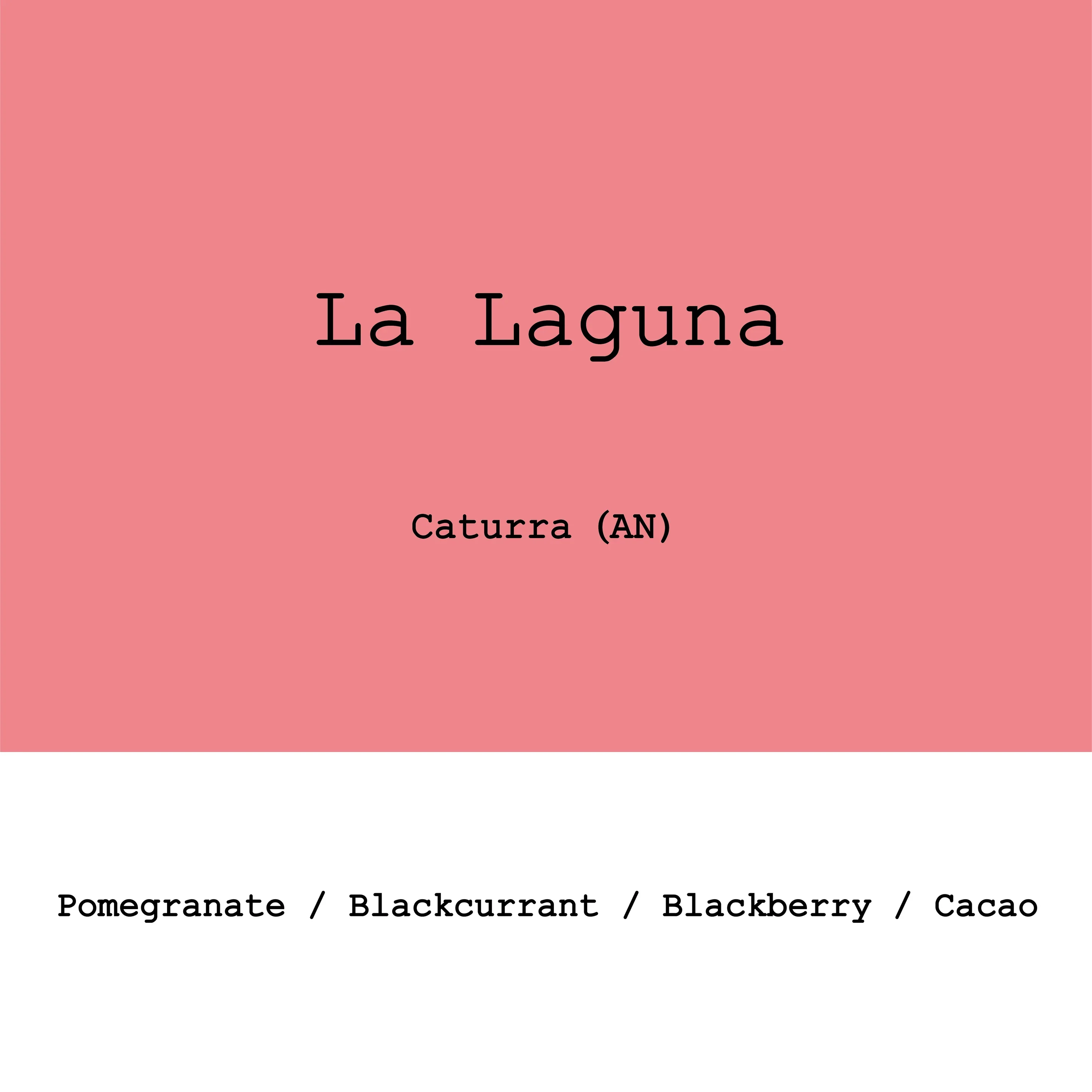 Goût & Co - Costa Rica - La Laguna, Anaerobic Natural Caturra