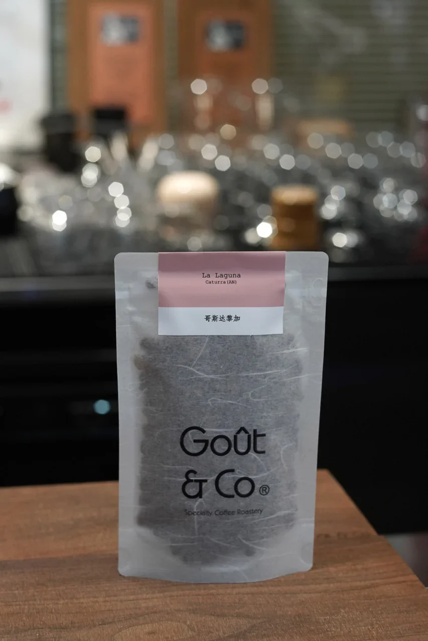 Goût & Co - Costa Rica - La Laguna, Anaerobic Natural Caturra - Image 2