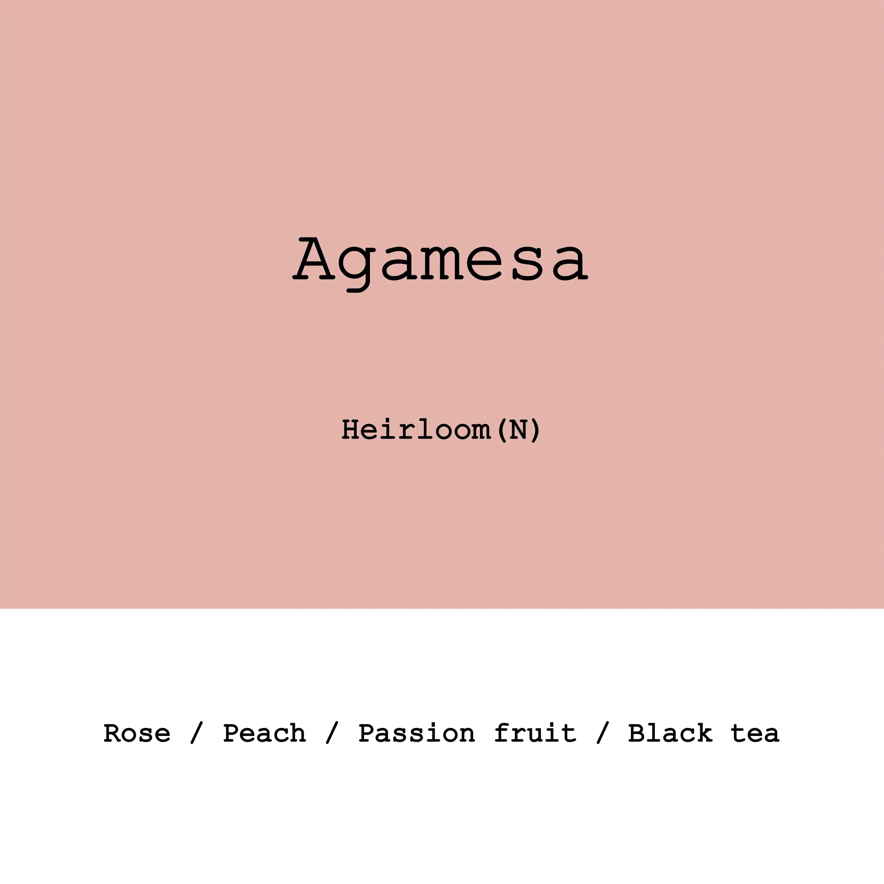 Goût & Co - Ethiopia Agamesa, Heirloom Natural G1