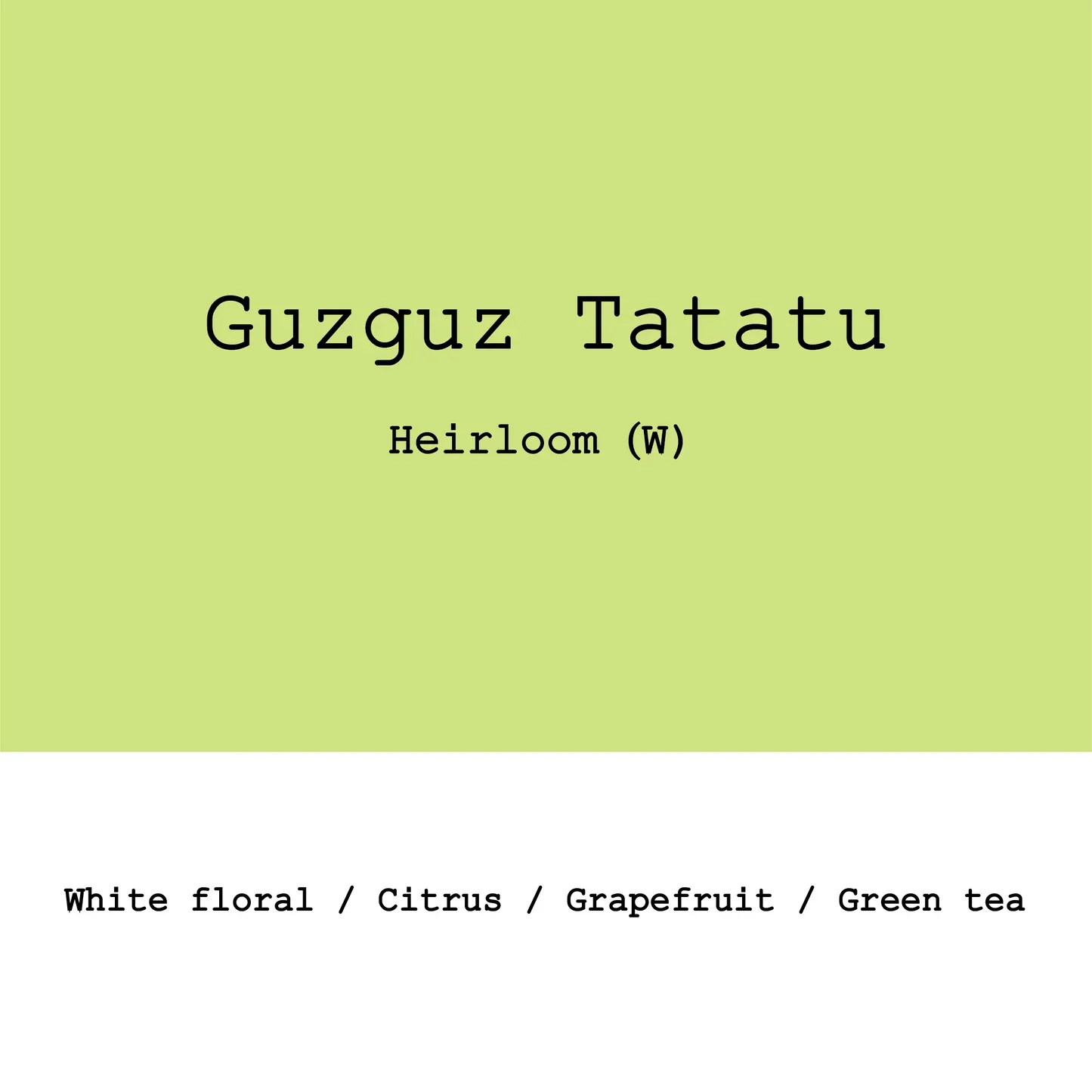 Goût & Co - Ethiopia Guzguz Tatatu, Heirloom G1 Washed