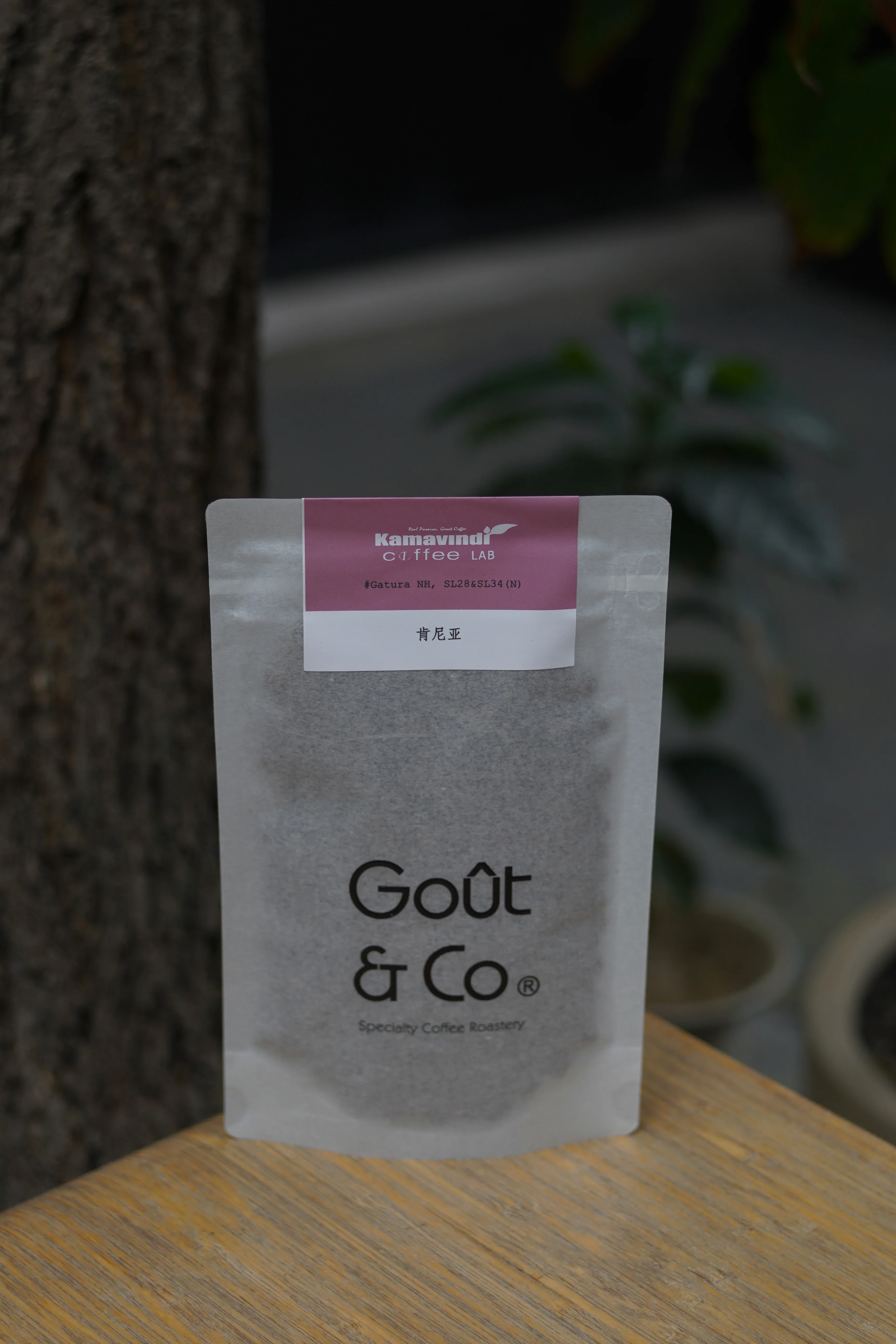Goût & Co - Kenya Kamavindi-Gatura Station, SL28 & SL34 Slow Dry Natural (2026 New Crop) - Image 2