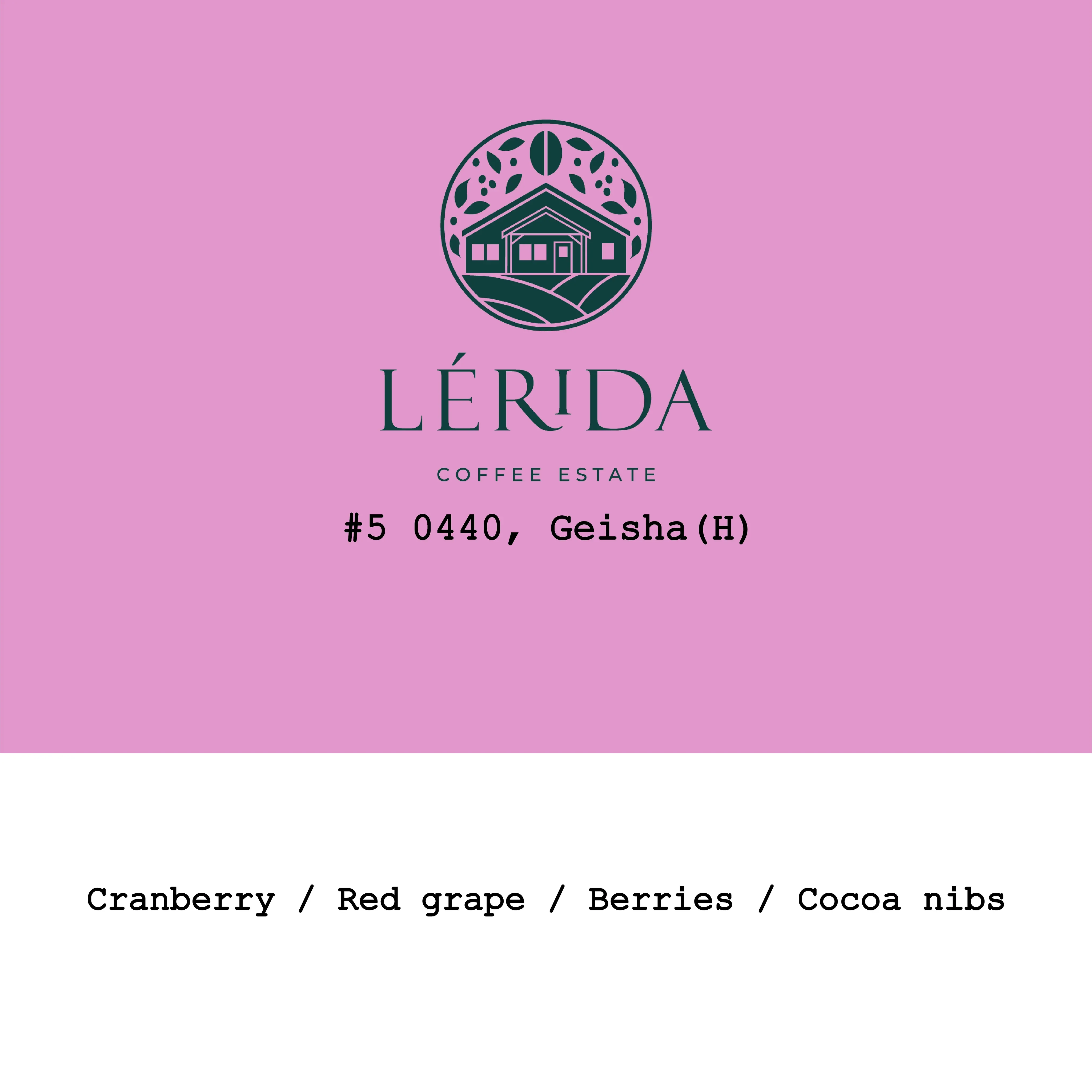 Goût & Co - Lérida Estate, Geisha #5 0440 Honey | Panama