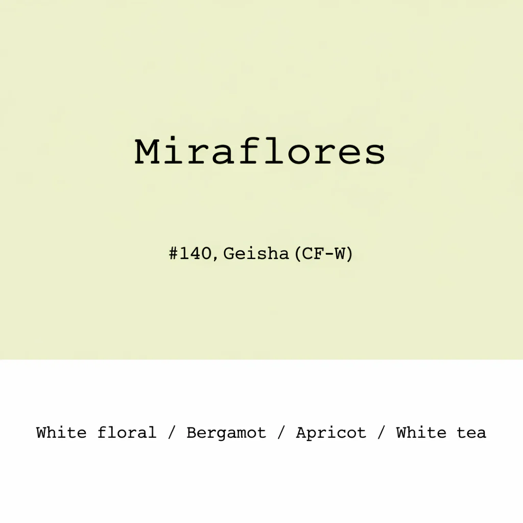 Goût & Co - Peru - Miraflores farm Geisha Cold Ferment Washed #140