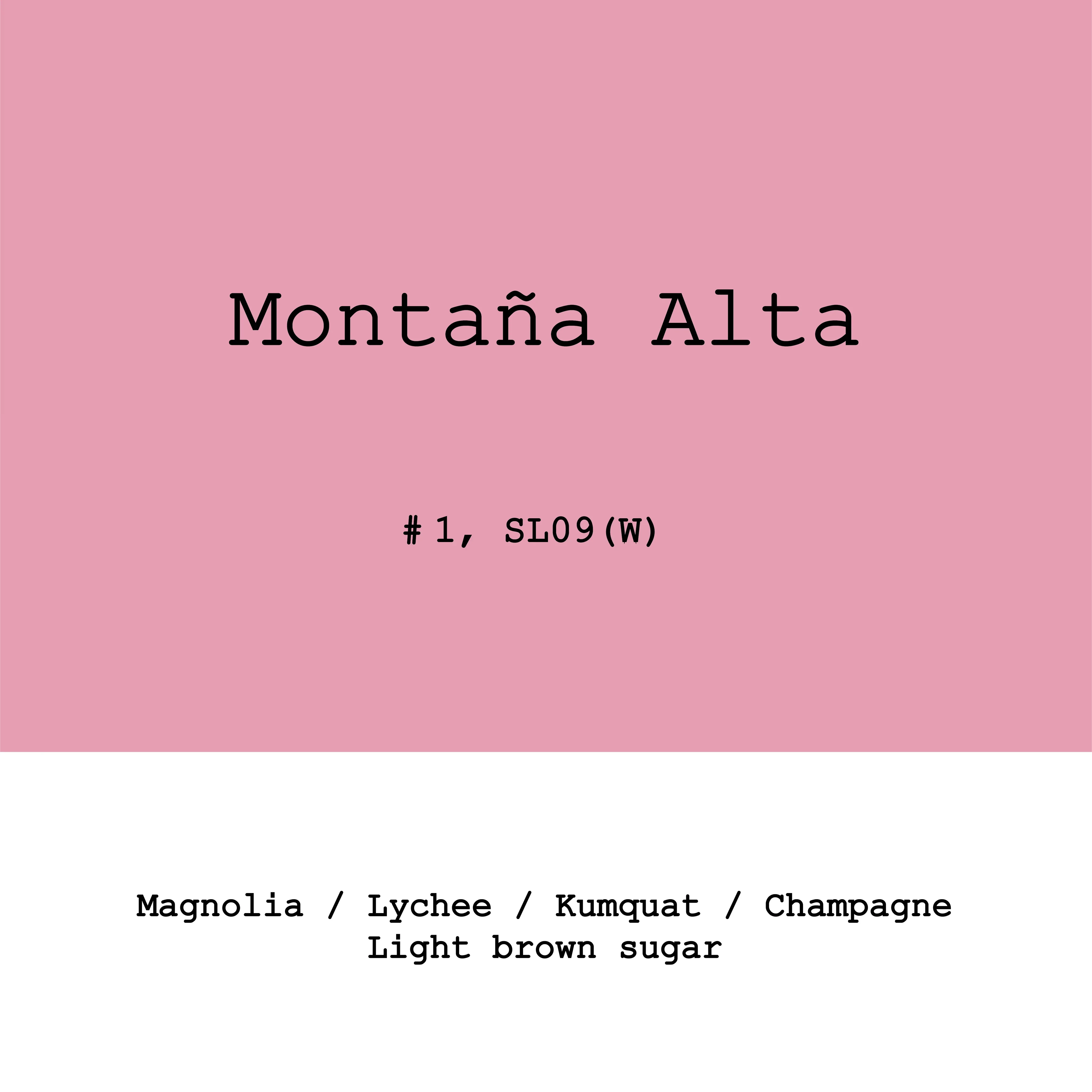 Goût & Co - Montaña Alta, SL09 Lot #1 Washed | Peru - Image 3