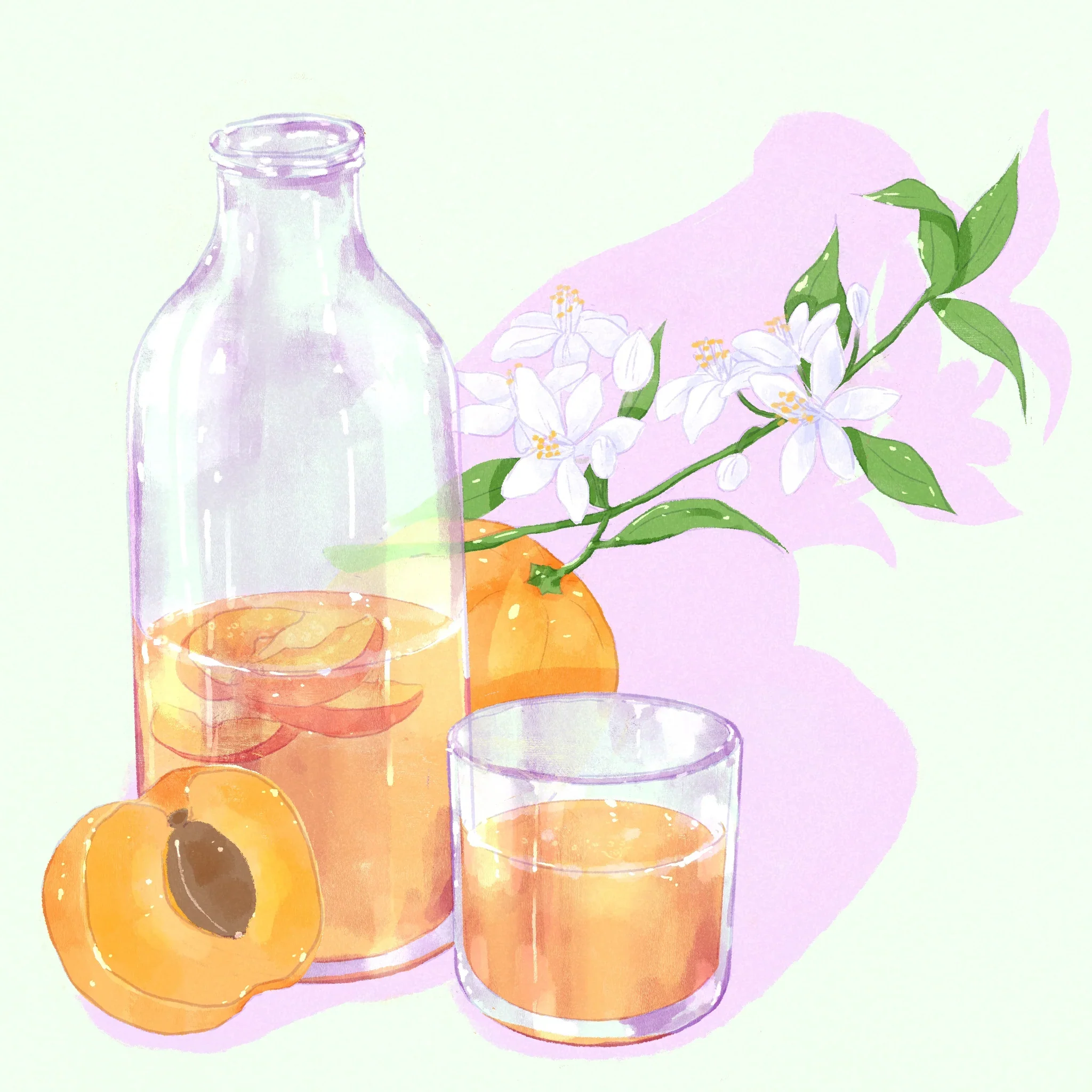 Hydrangea - Gesha Honey - Hacienda Santa Gertrudis