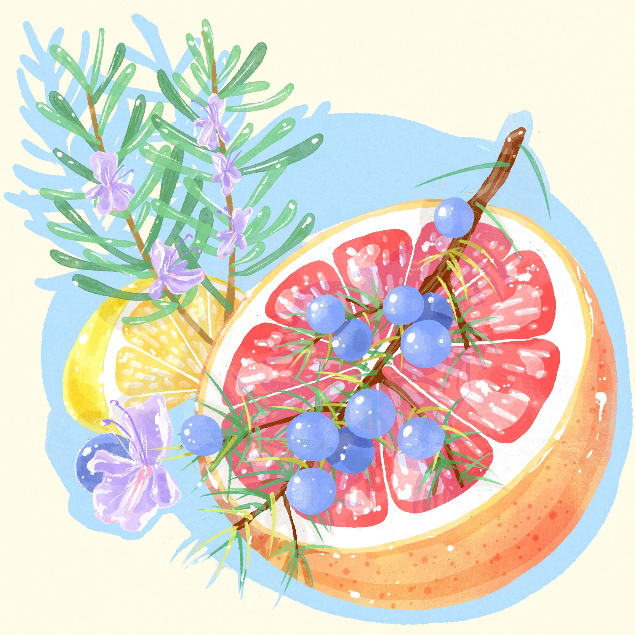 Hydrangea - Pink Bourbon Washed - Finca El Limon