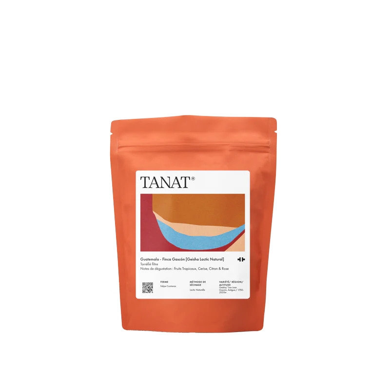 TANAT - Finca Gascón [Geisha Lactic Natural] | Guatemala