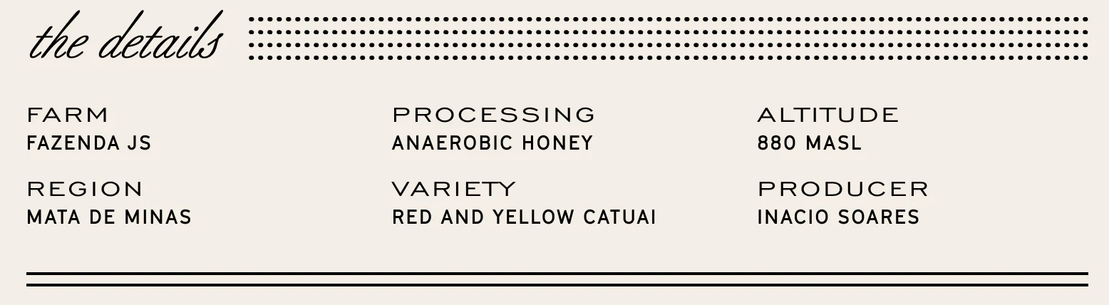 Manhattan Roasters - Brazil Inacio Soares F2 - Image 3