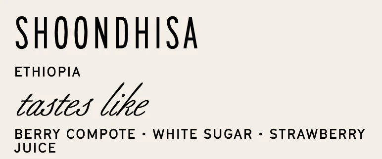 Manhattan Roasters - Ethiopia Shoondhisa - Natural - Image 3