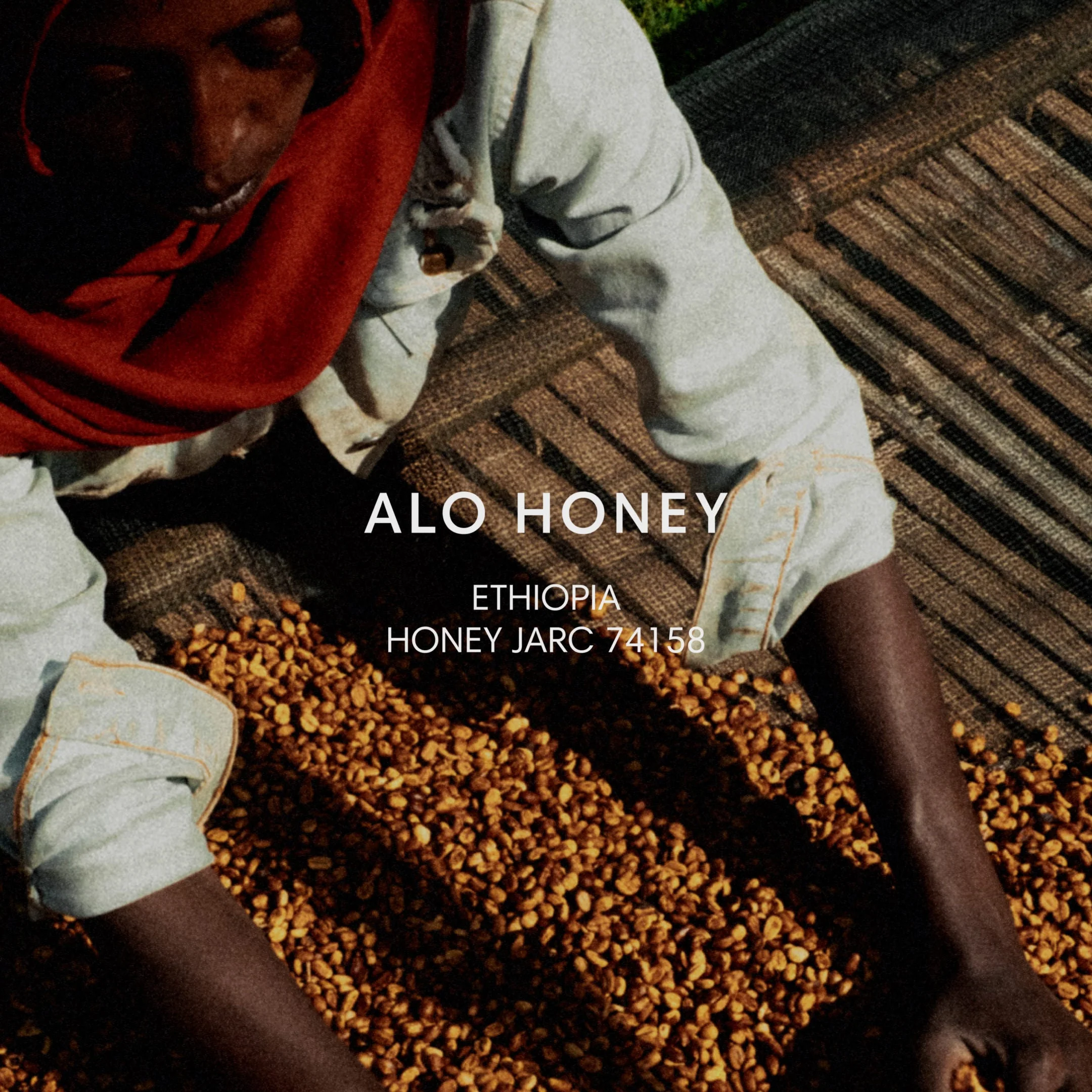 Mazelab - Alo Honey - JARC 74158 | Ethiopia