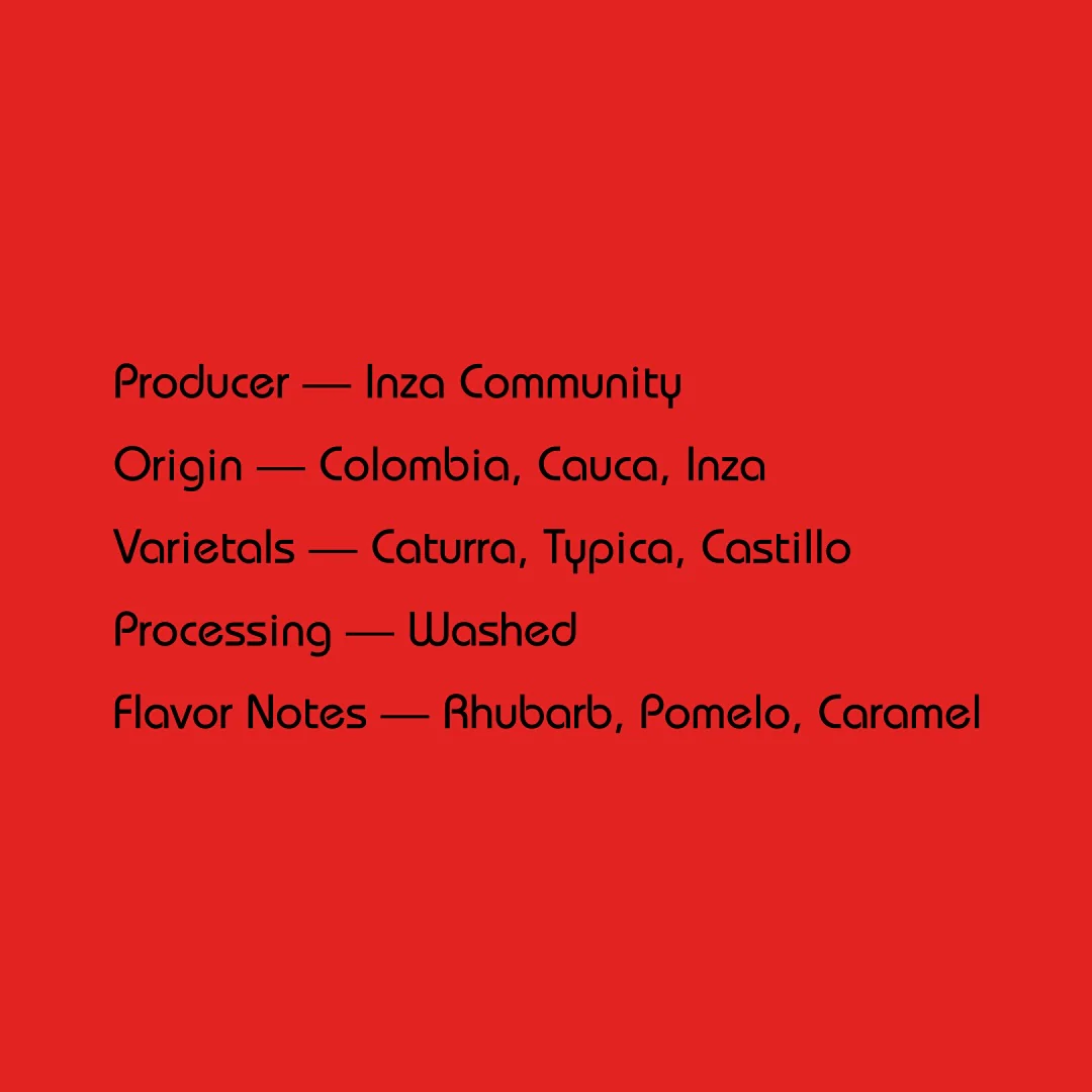Mirra - Inza Community, Washed | Colombia - Image 2
