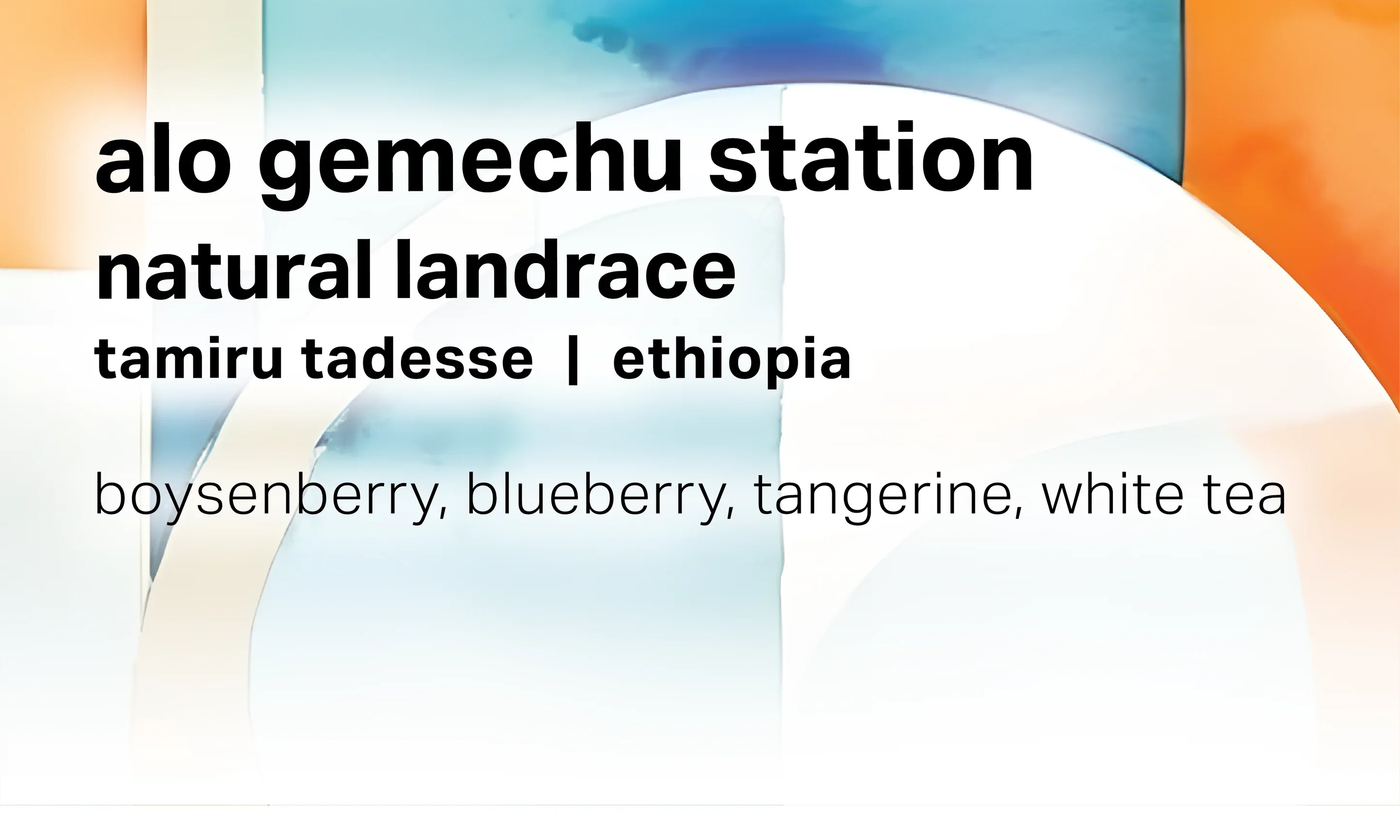 Moonwake - Alo Gemechu Station - Natural Landrace | Ethiopia