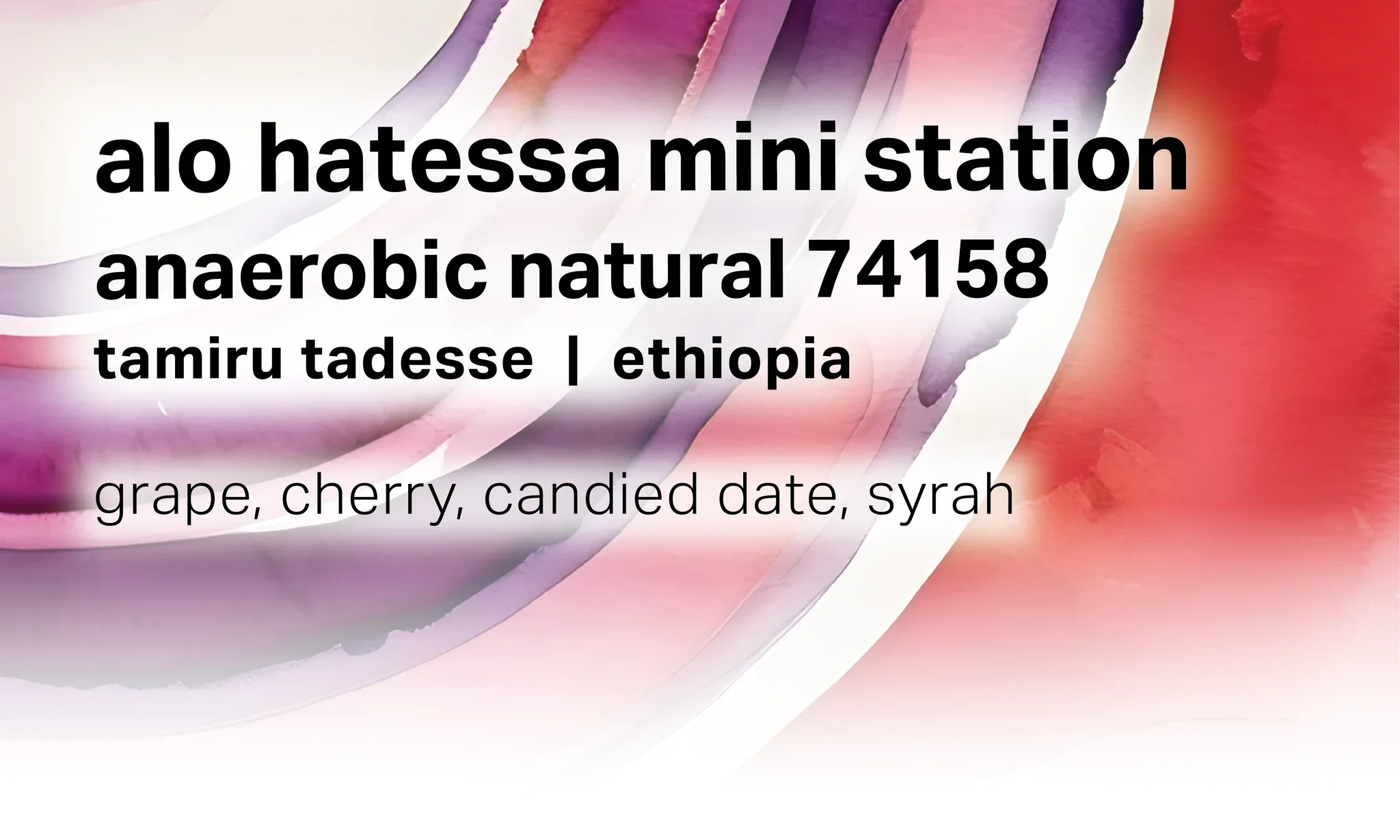 Moonwake - Alo Hatessa Mini Station - Anaerobic Natural 74158 | Ethiopia