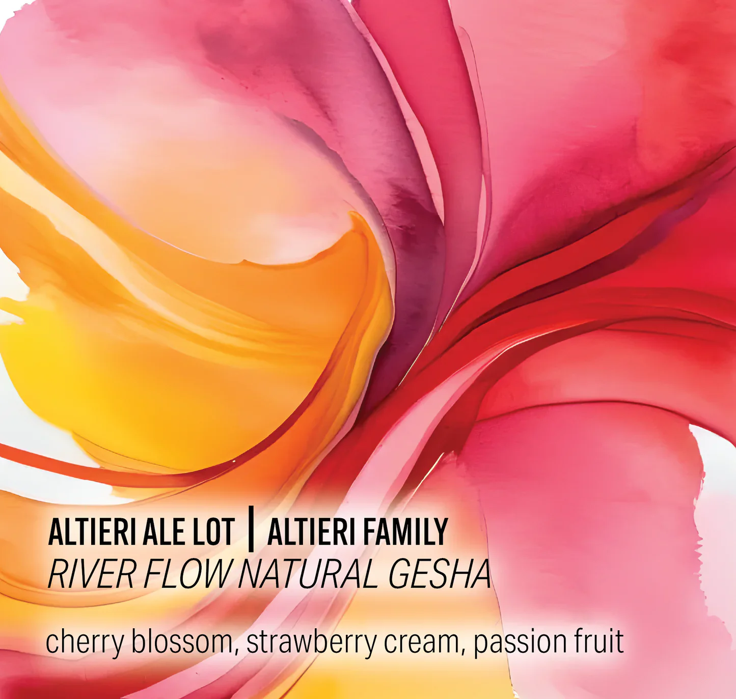 Moonwake - Altieri Ale Lot, River Flow Natural Gesha - Panama