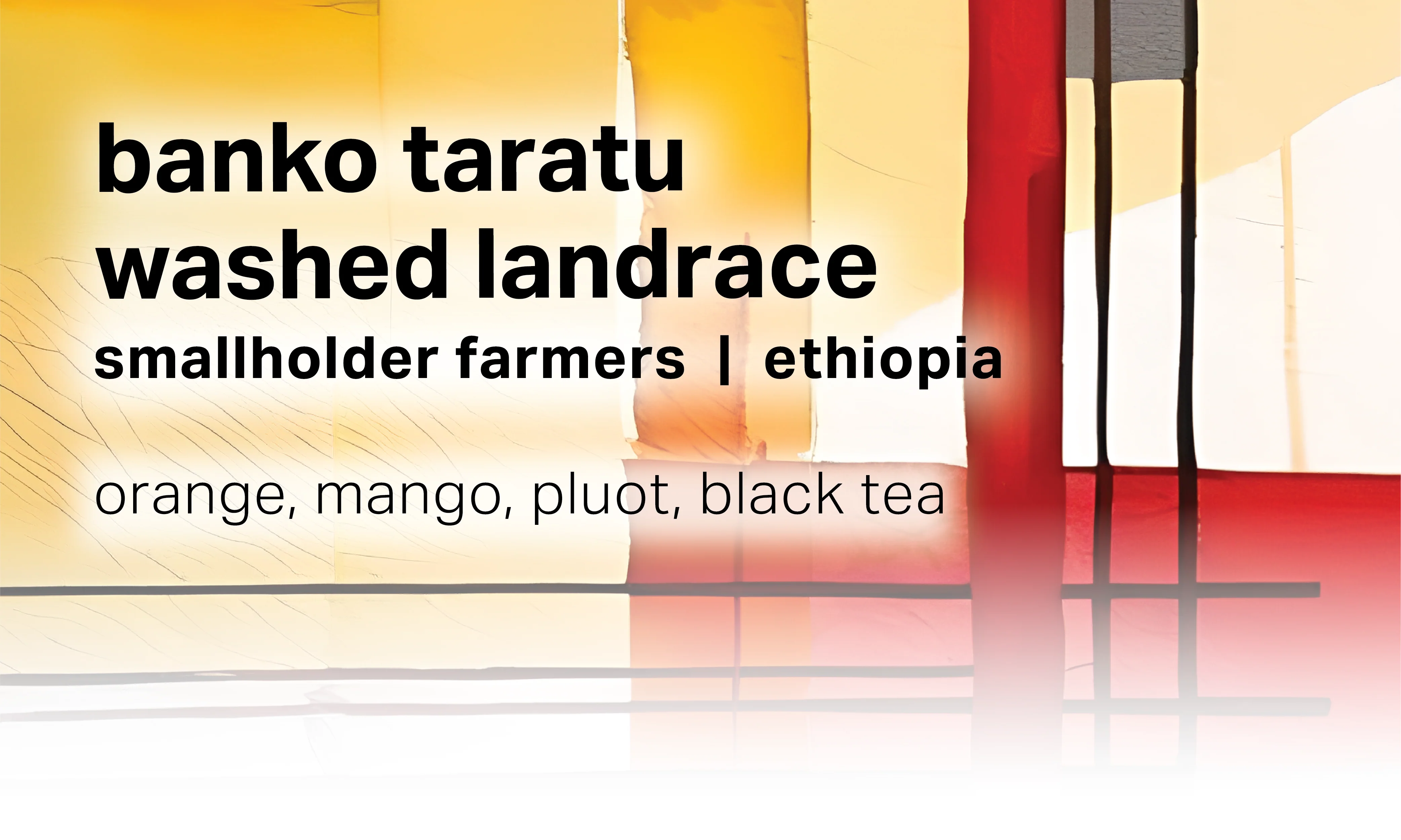 Moonwake Coffee Roasters - Banko Taratu Smallholder Farmers - Washed Landrace | Ethiopia