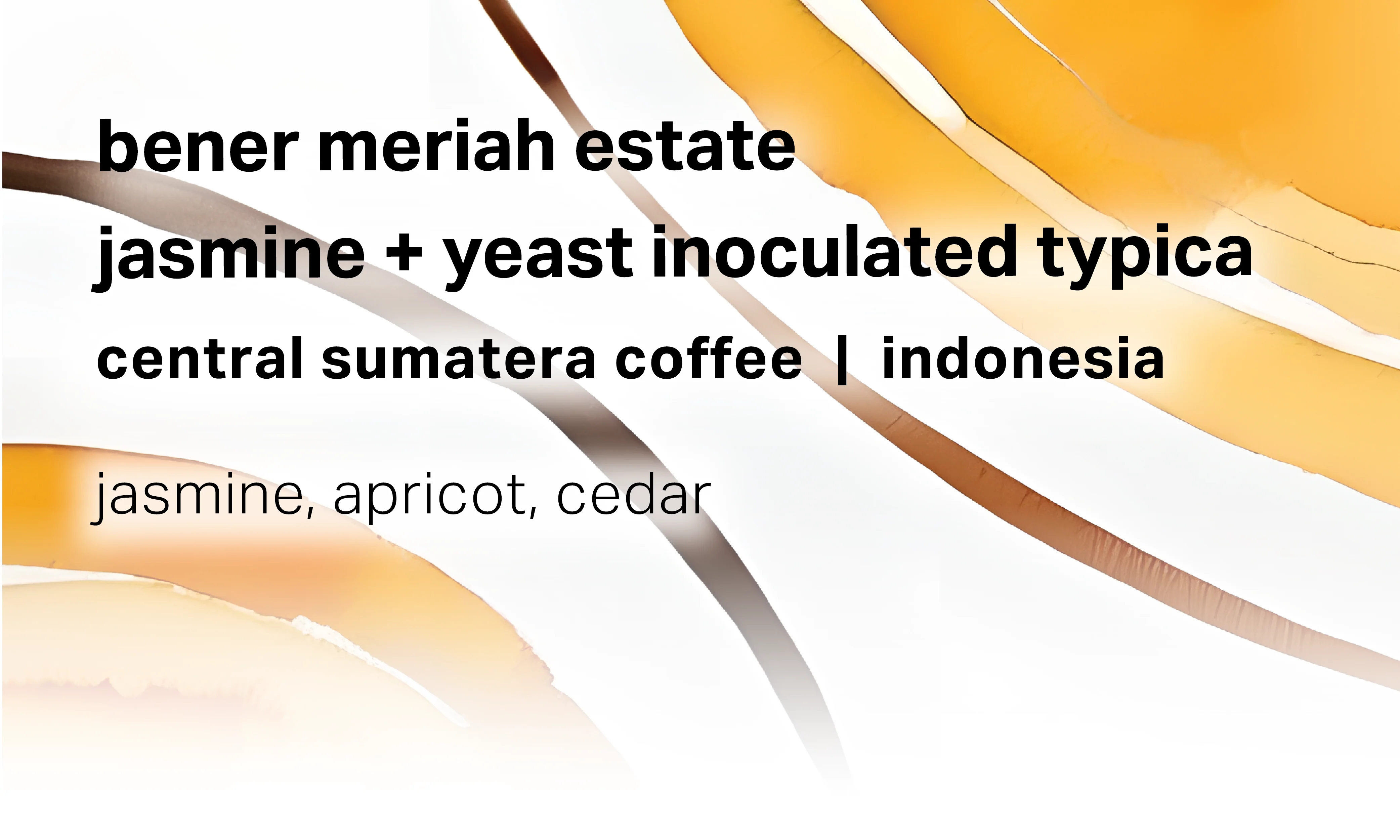 Moonwake - Central Sumatera Coffee Bener Meriah Estate - Jasmine + Yeast Inoculated Wet-Hulled Typica | Indonesia