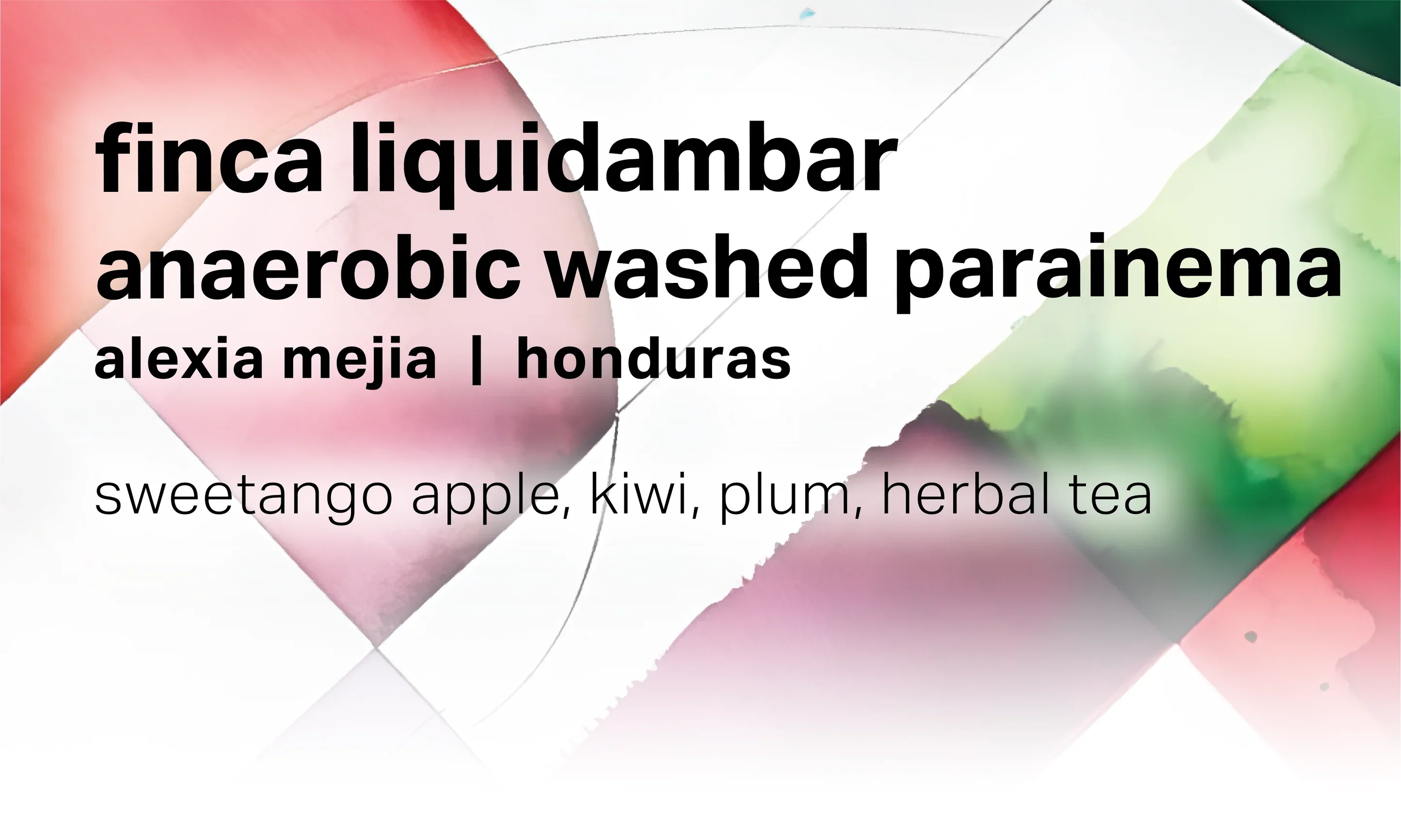 Moonwake - Alexia Mejia Finca Liquidambar - Anaerobic Washed Parainema