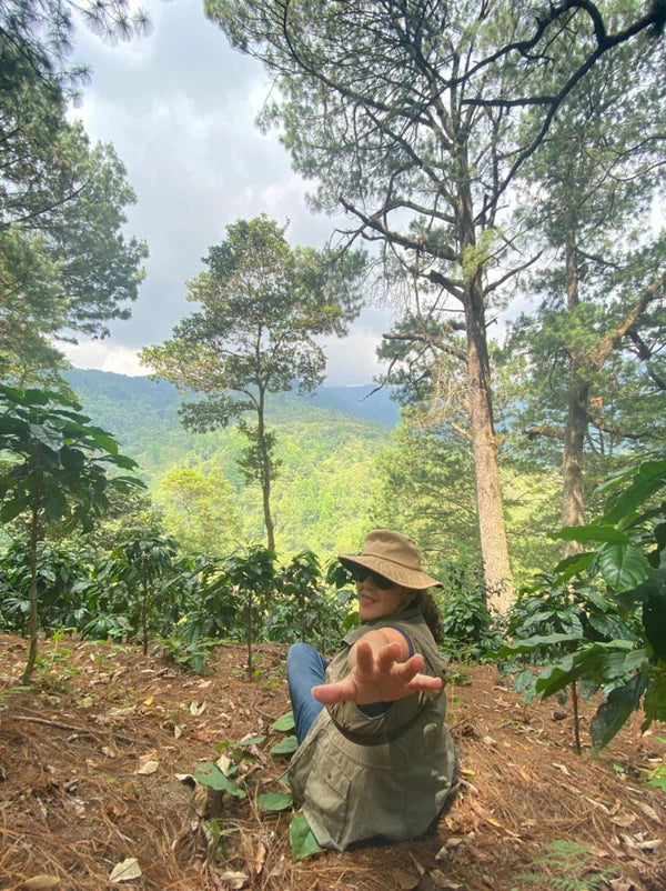 Moonwake - Alexia Mejia Finca Liquidambar - Anaerobic Washed Parainema - Image 2