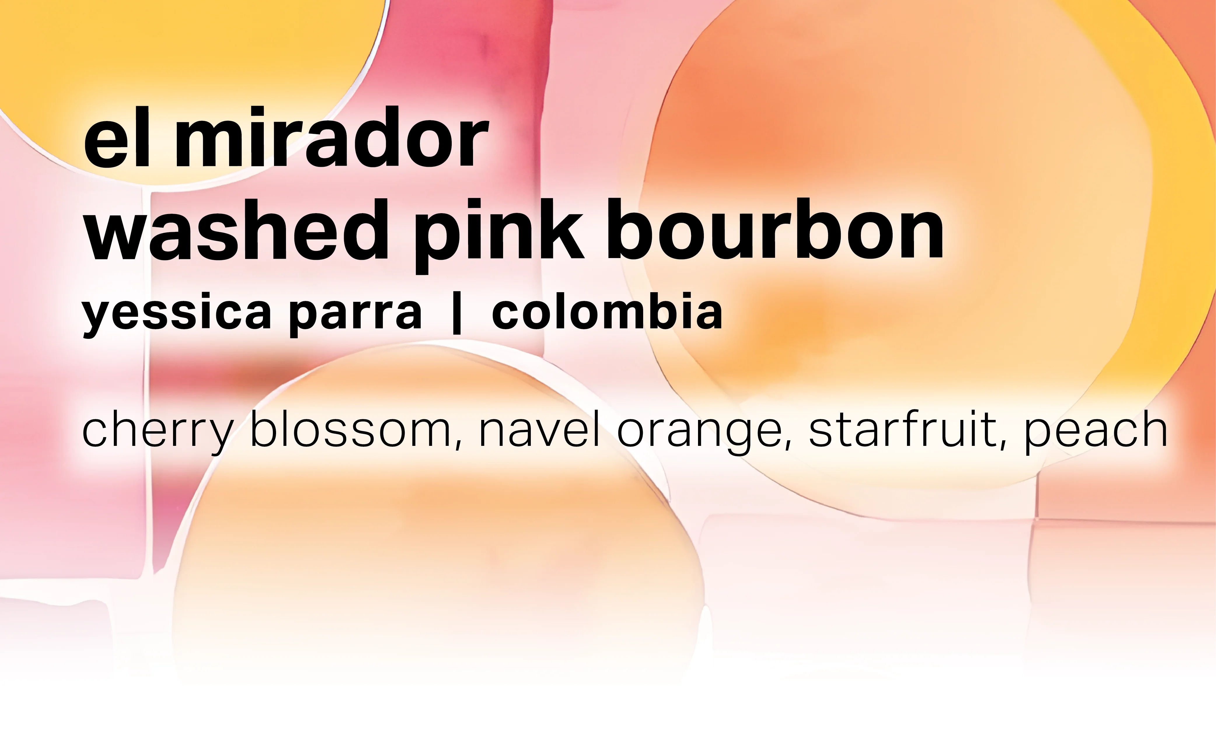 Moonwake Coffee Roasters - El Mirador Yessica Parra - Washed Pink Bourbon | Colombia