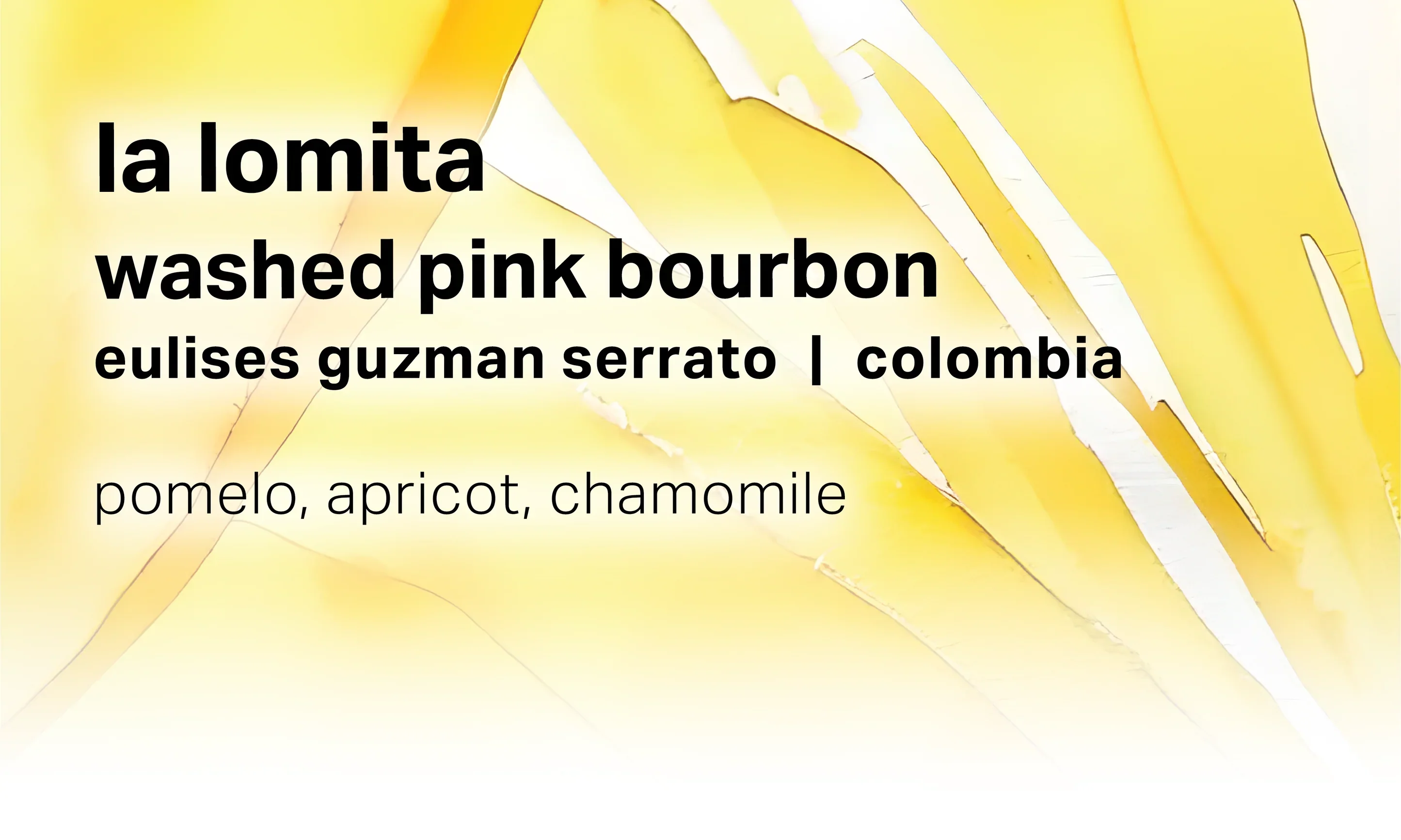 Moonwake - Eulises Guzman Serrato La Lomita - Washed Pink Bourbon | Ethiopia