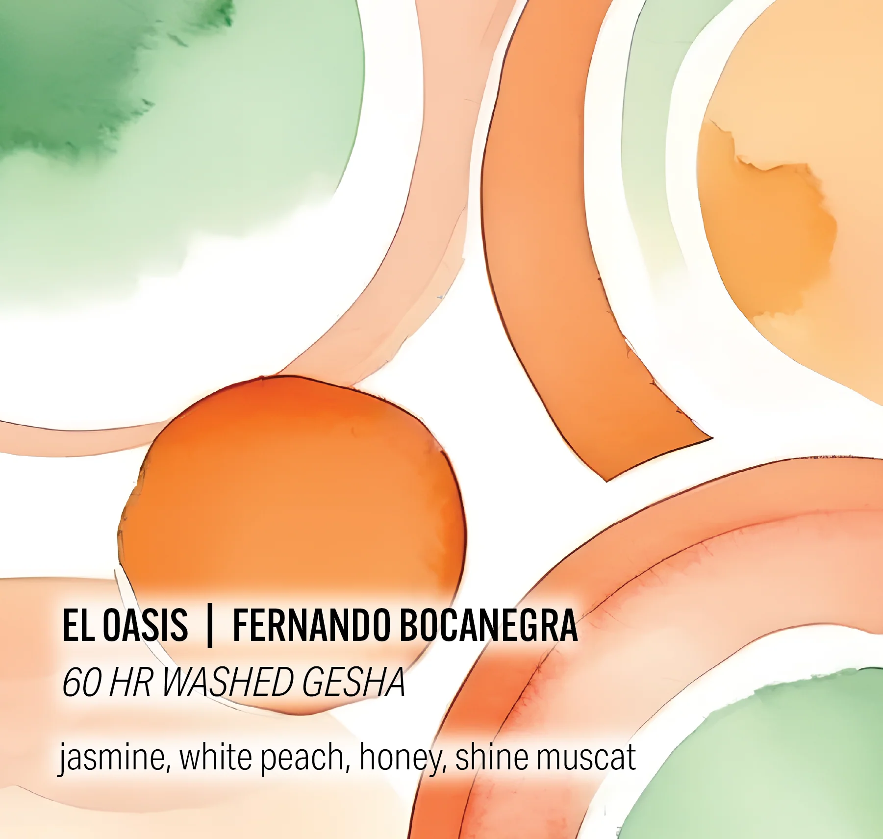Moonwake Coffee Roasters - Fernando Bocanegra El Oasis - 60hr Washed Gesha | Colombia