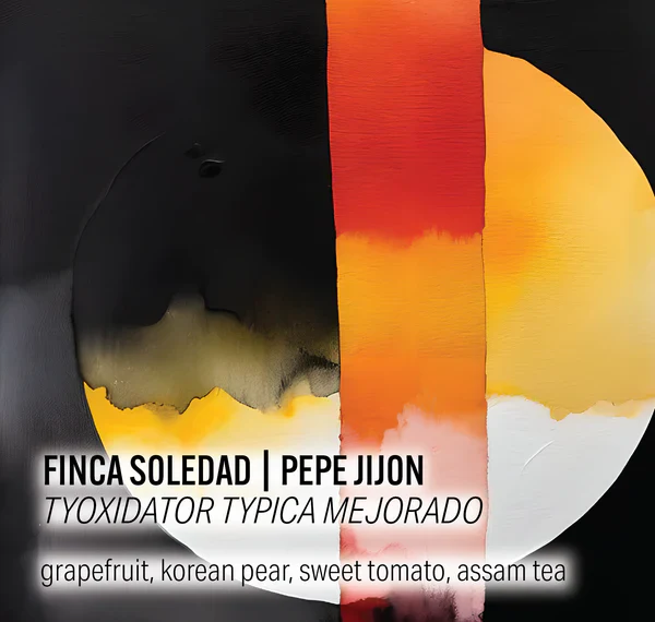 Moonwake - Finca Soledad, TyOxidator Typica Mejorado